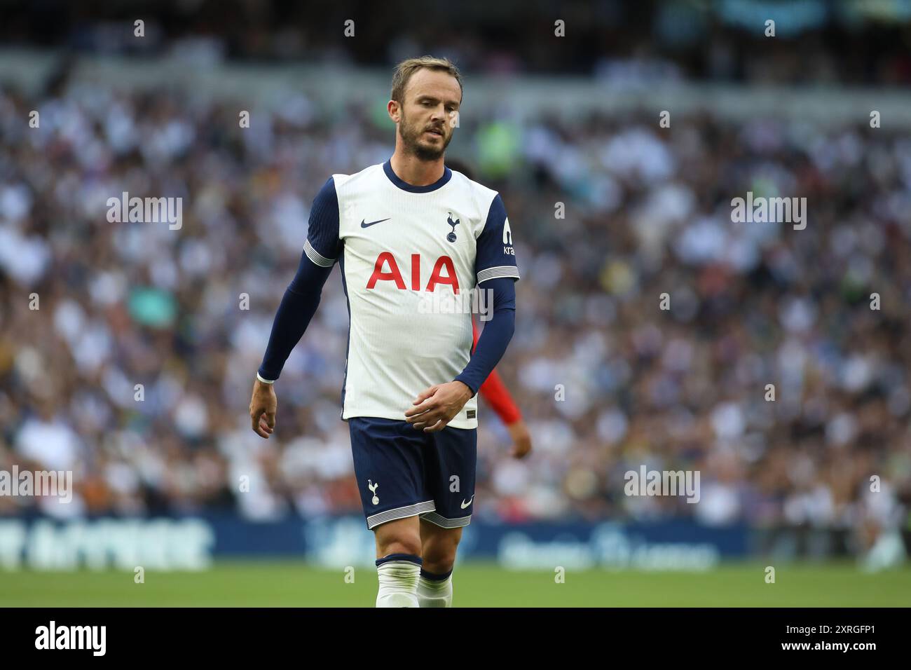 London, Großbritannien. August 2024. London, England, 10. August 2024: James Maddison (10 Tottenham Hotspur) während des Vereinsspiels zwischen Tottenham Hotspur und Bayern München im Tottenham Stadium in London, England (Alexander Canillas/SPP) Credit: SPP Sport Press Photo. /Alamy Live News Stockfoto