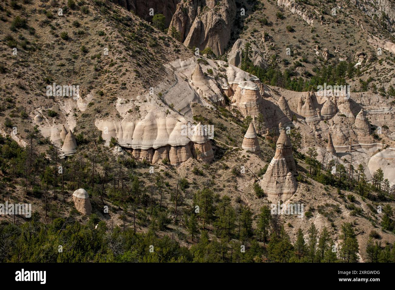 Detail der Cañada Camada im Kasha-Katuwe Tent Rocks National Monument, in der Nähe des Cochiti Pueblo, New Mexico Stockfoto