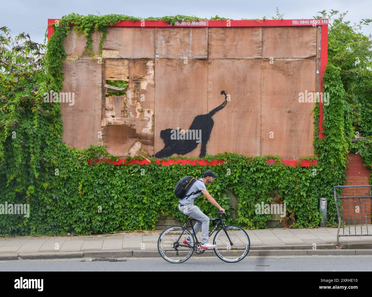 Ein Radfahrer kommt an einem neuen Kunstwerk von Banksy vorbei, auf einer alten Plakatwand in Cricklewood. Das Kunstwerk, das eine wilde Katze wie einen Tiger oder Leoparden darstellt, ist das sechste neue Kunstwerk des schwer fassbaren Straßenkünstlers in sechs Tagen in London. Stockfoto