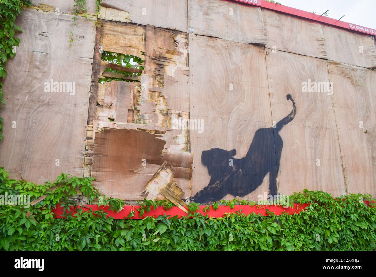 Ein neues Kunstwerk von Banksy erscheint auf einer alten Plakatwand in Cricklewood. Das Kunstwerk, das eine wilde Katze wie einen Tiger oder Leoparden darstellt, ist das sechste neue Kunstwerk des schwer fassbaren Straßenkünstlers in sechs Tagen in London. (Foto: Vuk Valcic / SOPA Images/SIPA USA) Stockfoto