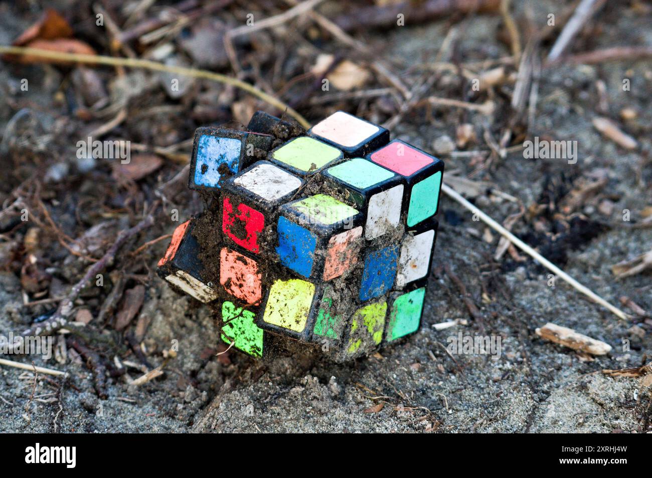 Rubiks Würfel wurde nach der Überschwemmung gefunden. Verwüstungskonzept. Stockfoto