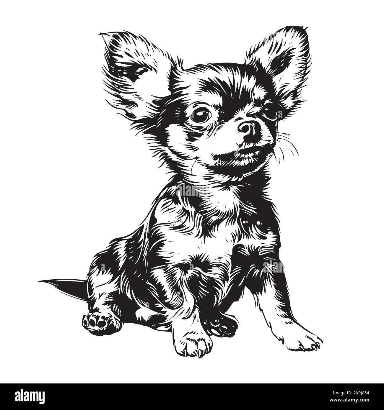 Chihuahua Portrait Hund Hand gezeichnet Skizze Haustiere Vektor Illustration. Stock Vektor