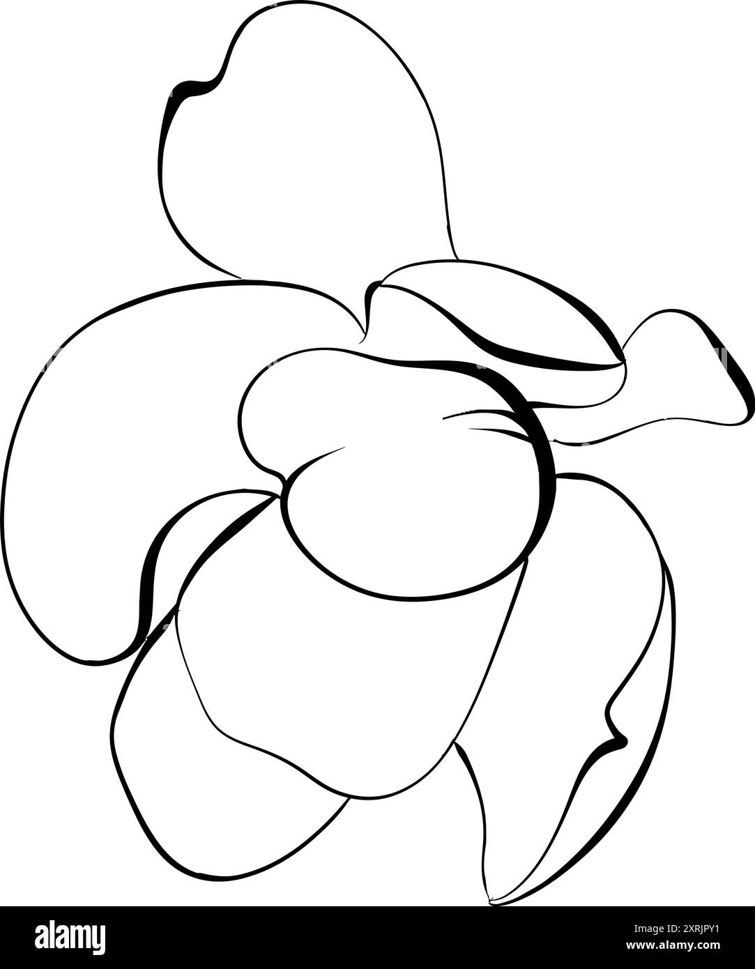 Vektor romantische Magnolienblume. Blühende Grafik Flora. Paris Frühling. Von Hand gezeichnete Linie. Schwarzes Schaltkreismodell Stock Vektor