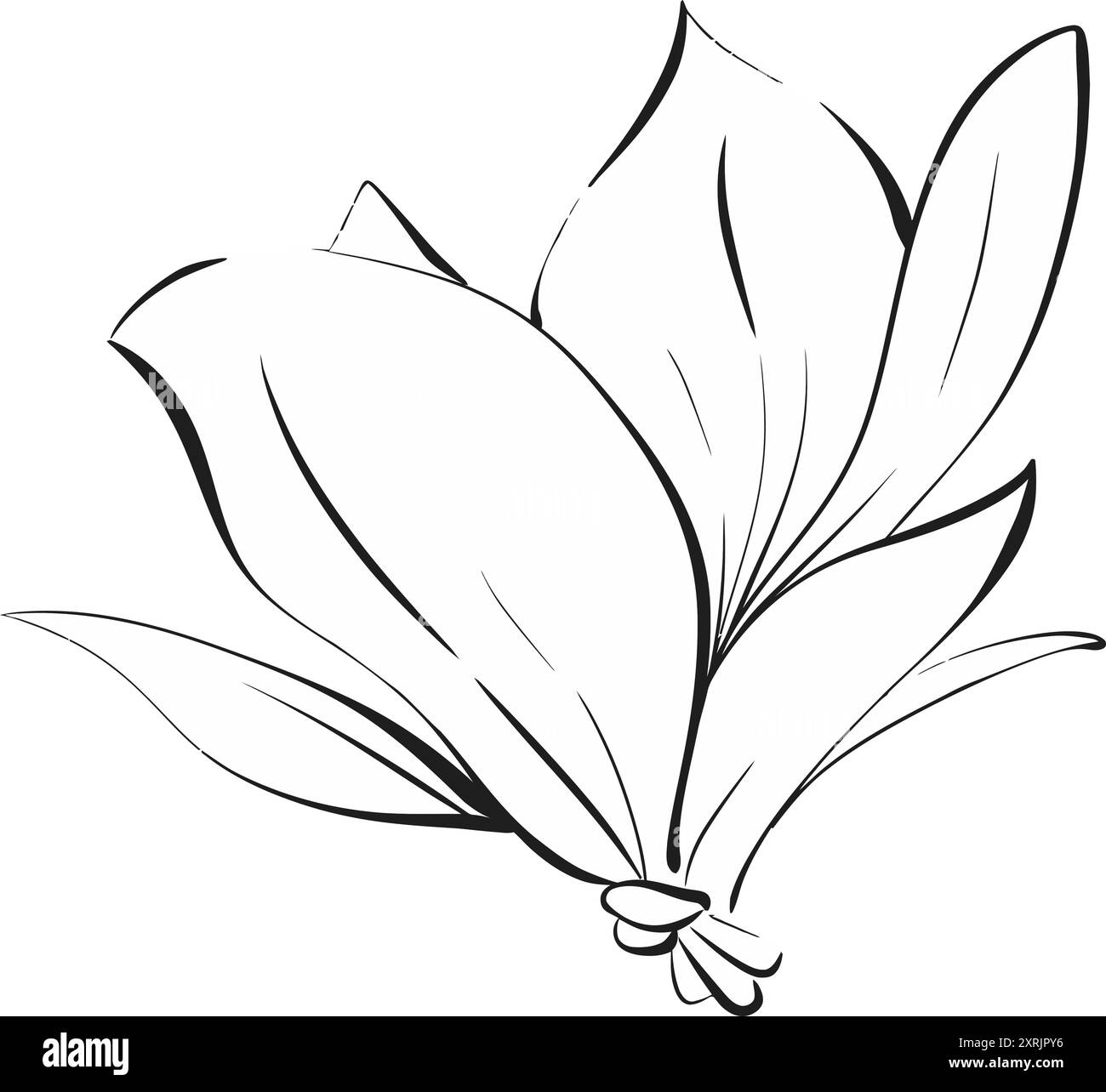 Vektorblume, Magnolie im Grafikstil. Paris Frühling, romantische Linie. Botanische Illustration, Flora. Schwarzes Schaltkreismodell Stock Vektor