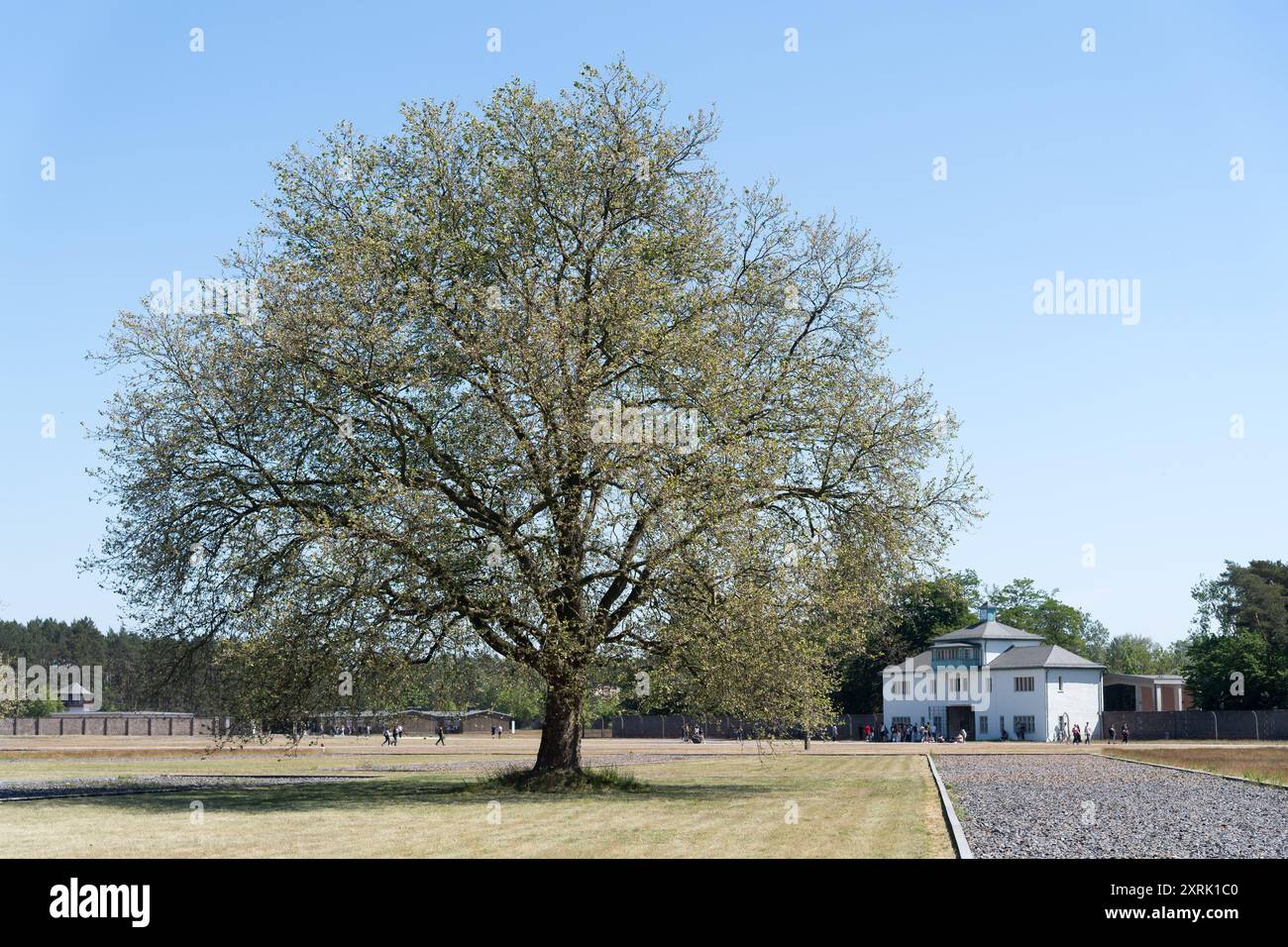 Das Haupttor oder Wachturm A des Konzentrationslagers Sachsenhausen in Oranienburg, Brandenburg Stockfoto