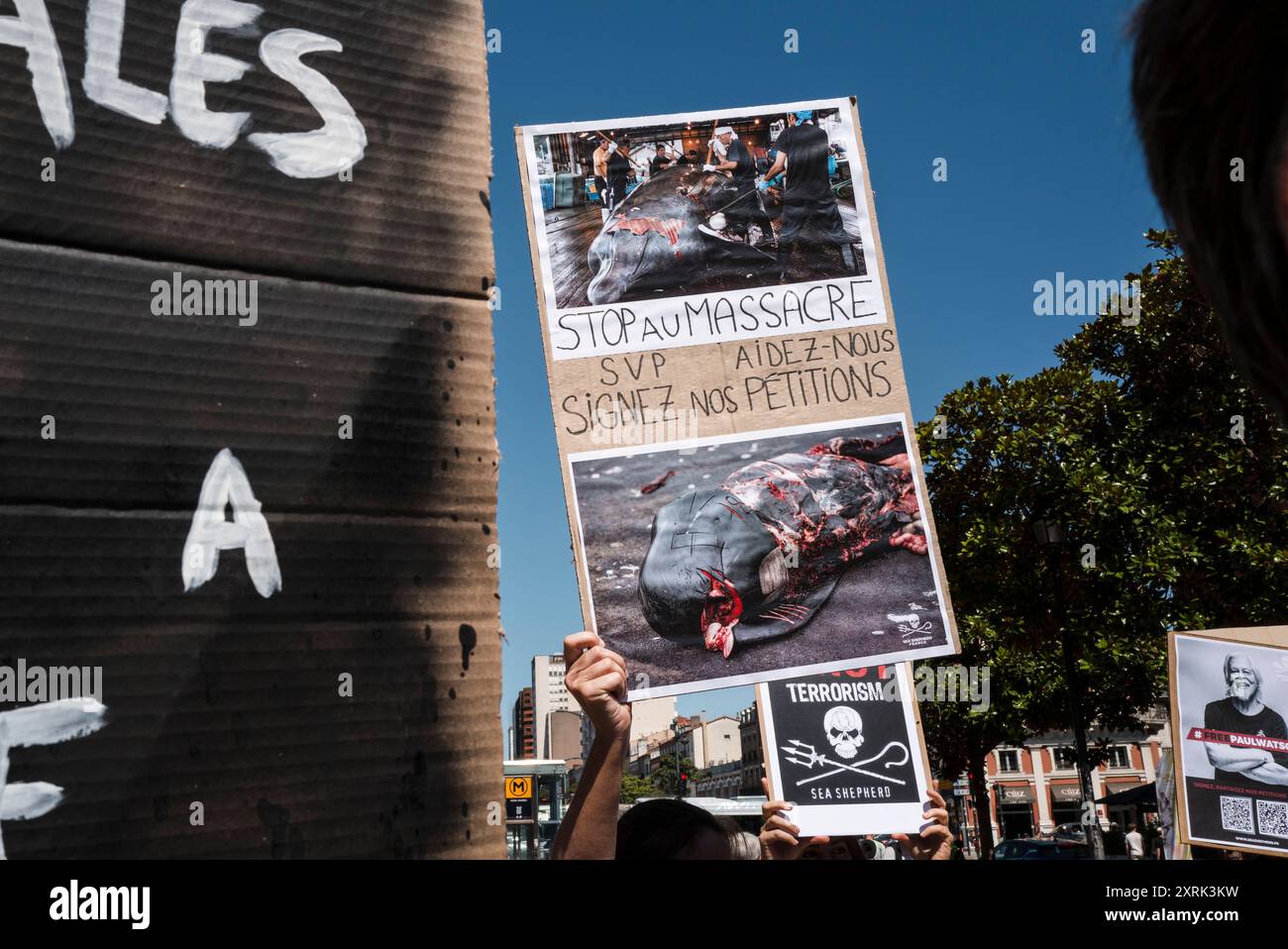 Ein Plakat mit Bildern von blutenden Walen, stoppt die Schlachtung, bitte helft uns, unsere Petitionen zu unterschreiben. Paul Watson, der Gründer der NGO Sea Shepherd, ist auf Ersuchen der japanischen Regierung seit mehr als 14 Tagen in dänischen Gefängnissen in Grönland festgehalten worden. Das dänische Justizministerium soll am 15. August über seine Auslieferung nach Japan entscheiden. Frankreich, Toulouse am 10. August 2024. Foto von Patricia Huchot-Boissier / Agence DyF. Stockfoto