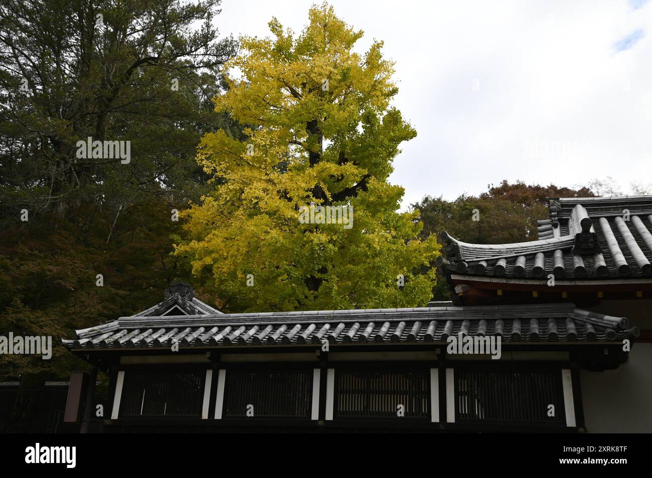 Japanisches Onigawara, antike Dachverzierungen an der Außenseite des Shinto-Schreins Tamukeyama Hachimangū in Nara, Kansai Japan. Stockfoto