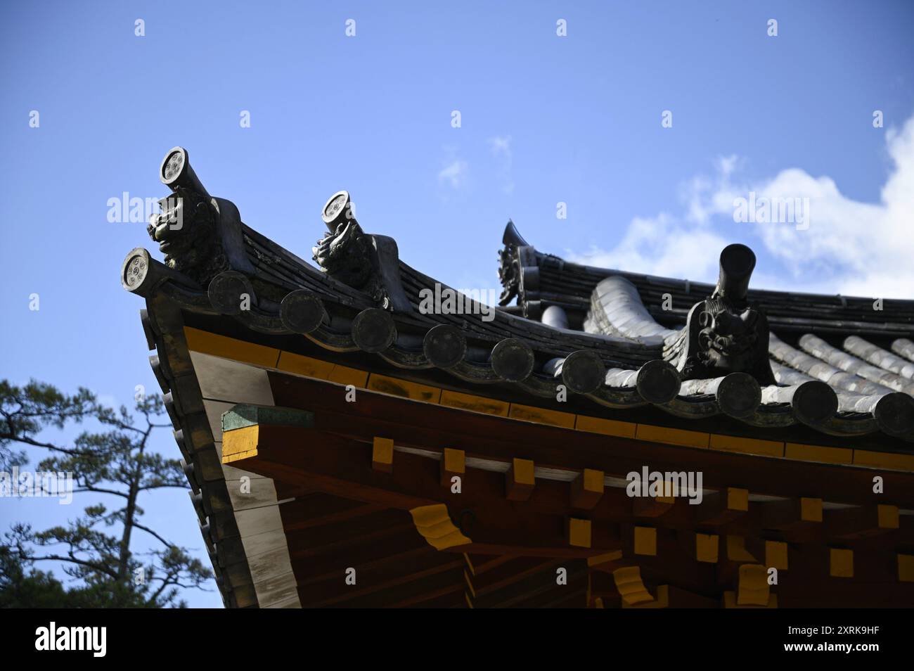 Traditionelle japanische Onigawara-Dachdekoration an der Außenseite des buddhistischen Tōdai-JI-Tempels in Nara, Kansai Japan. Stockfoto