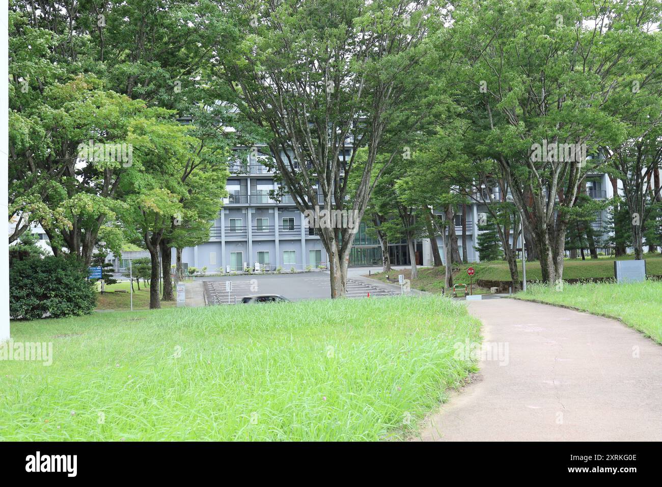 August 2024. Sendai, Präfektur Miyagi, Japan. Tohoku University Aobayama Campus. Stockfoto