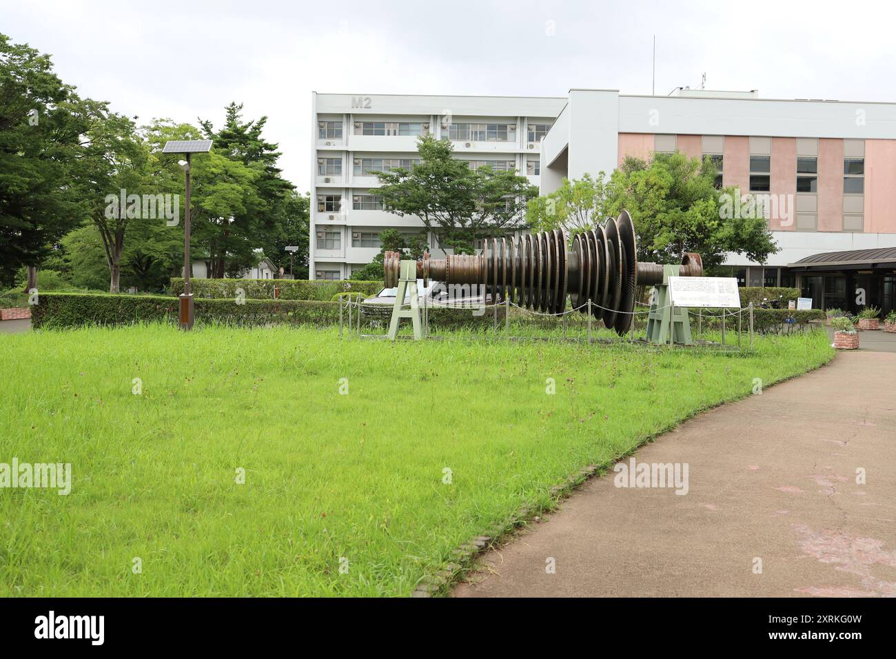 August 2024. Sendai, Präfektur Miyagi, Japan. Tohoku University Aobayama Campus. Stockfoto