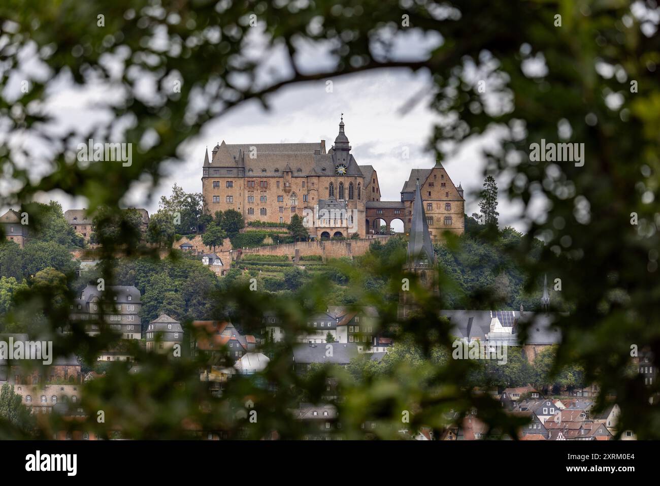 Marburg, Deutschland. August 2024. Die Marburger Burg, auch Landgrafenburg Marburg genannt, erhebt sich über der Stadt. Von Süden aus gesehen. Sie entstand im 11. Jahrhundert als Burg und wurde im 13. Jahrhundert von den Landgrafen von Hessen in ein Wohnschloss umgewandelt. Seit 1981 beherbergt das Schloss das Kunstgeschichtliche Museum der Philipps-Universität Marburg. Quelle: Christian Lademann/dpa/Alamy Live News Stockfoto