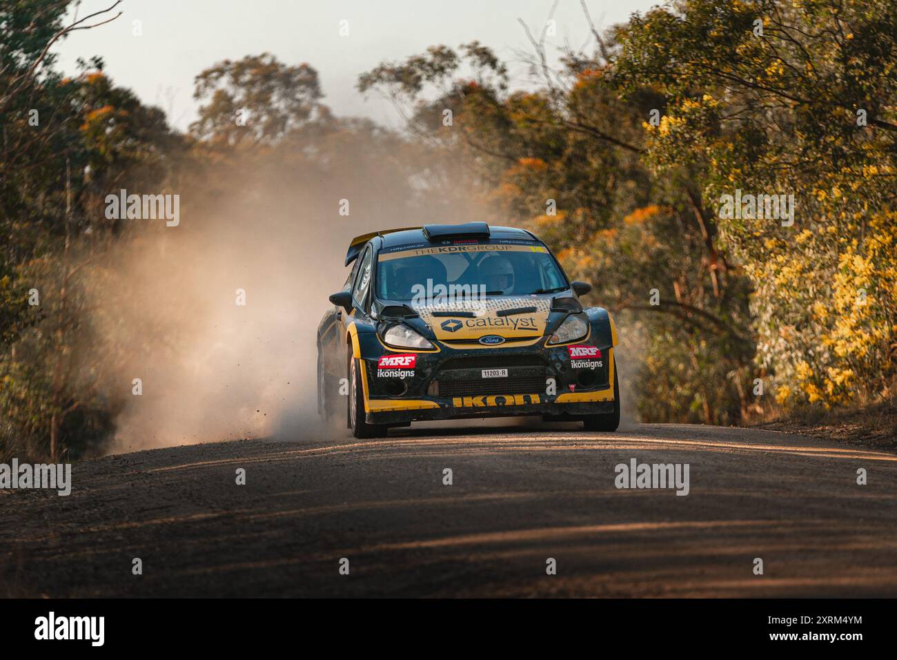 Cranbourne, Victoria, Australien. August 2024. DEAN RIDGE & MUIREANN HAYES (14) fahren den Hügel hinunter in Richtung des Gate-Eingangs in der Power Stage am Sonntag bei der Middle of Everywhere Gippsland Rally 2024. (Kreditbild: © James Forrester/ZUMA Press Wire) NUR REDAKTIONELLE VERWENDUNG! Nicht für kommerzielle ZWECKE! Quelle: ZUMA Press, Inc./Alamy Live News Stockfoto