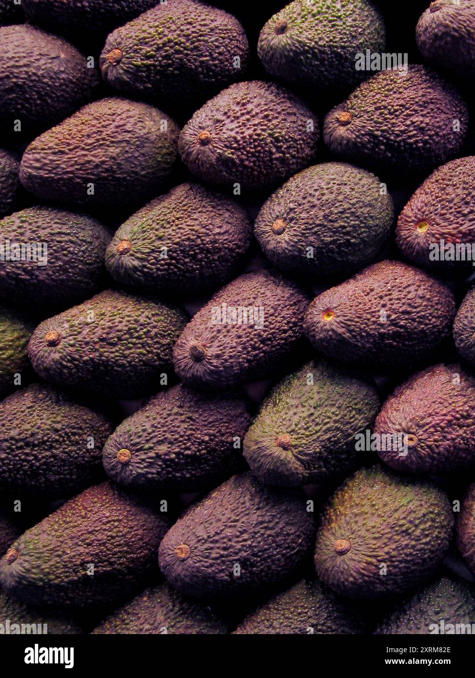 Frisch reife Avocado-Vollbild im Hintergrund Stockfoto