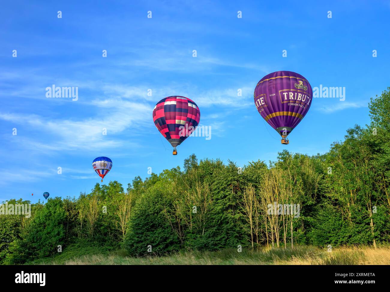 Farbenfrohe, sonnendurchflutete Ballons in der goldenen Stunde, von der Bristol Balloon Fiesta 2024, als sie über Bäume in der Nähe von Siston; Bristol passieren. Am Samstag um 45 Uhr Stockfoto