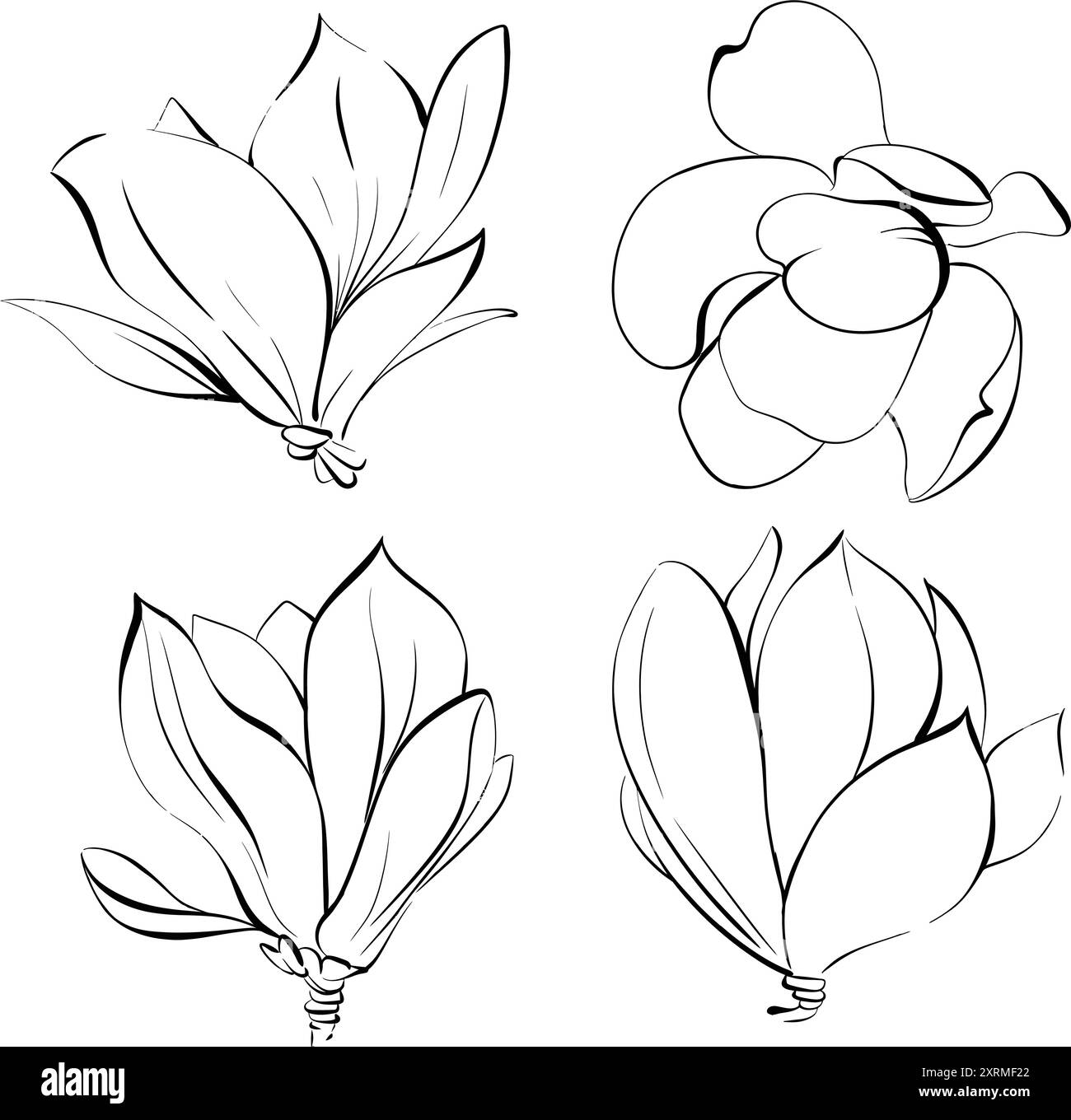 Satz von Vektorblume, Magnolienkontur. Paris Frühling, von Hand gezeichnete Linie. Botanische Illustration, Flora. Schwarze Silhouette für Schaltkreis Stock Vektor