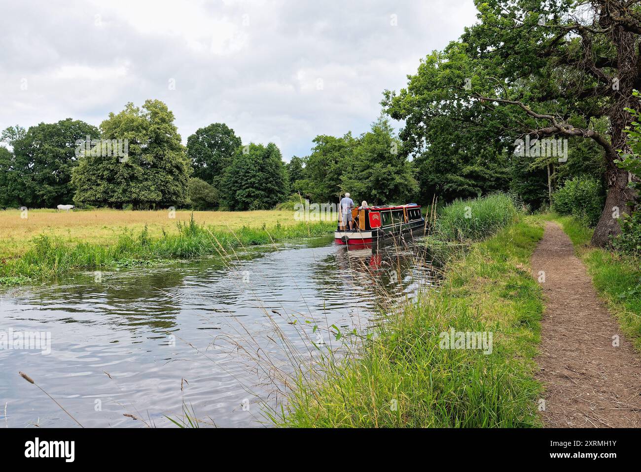 Ein schmales Boot, das auf dem River Wey Schifffahrtskanal in der Nähe von Byfleet fährt, an einem Sommertag Surrey England UK Stockfoto