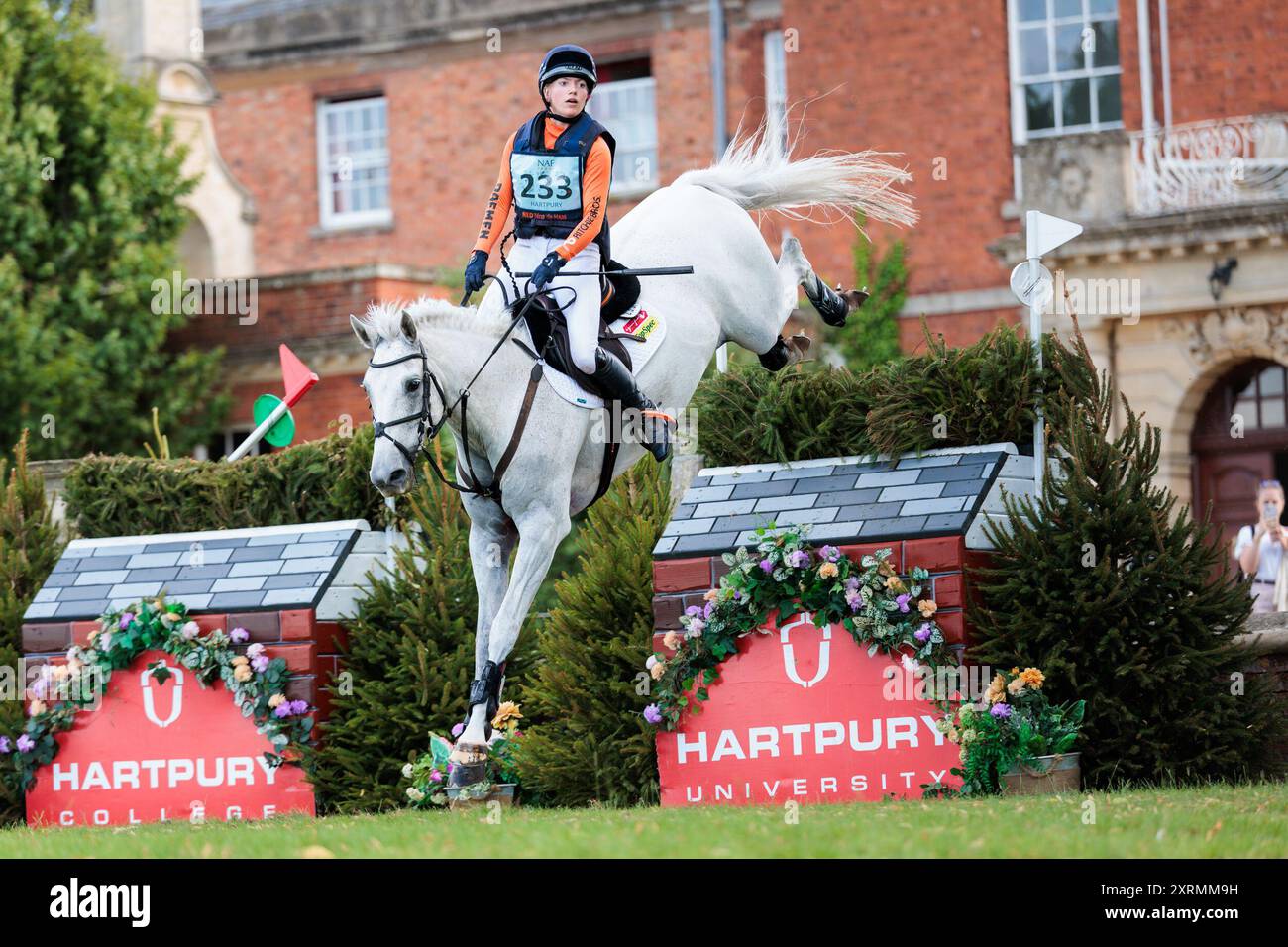 Nina de Haas aus den Niederlanden mit Ballylaffin Juno während des CCI4*S Cross Country bei den NAF Five Star International Hartpury Horse Trials am 10. August 2024, Hartpury, Vereinigtes Königreich (Foto: Maxime David - MXIMD Pictures) Stockfoto