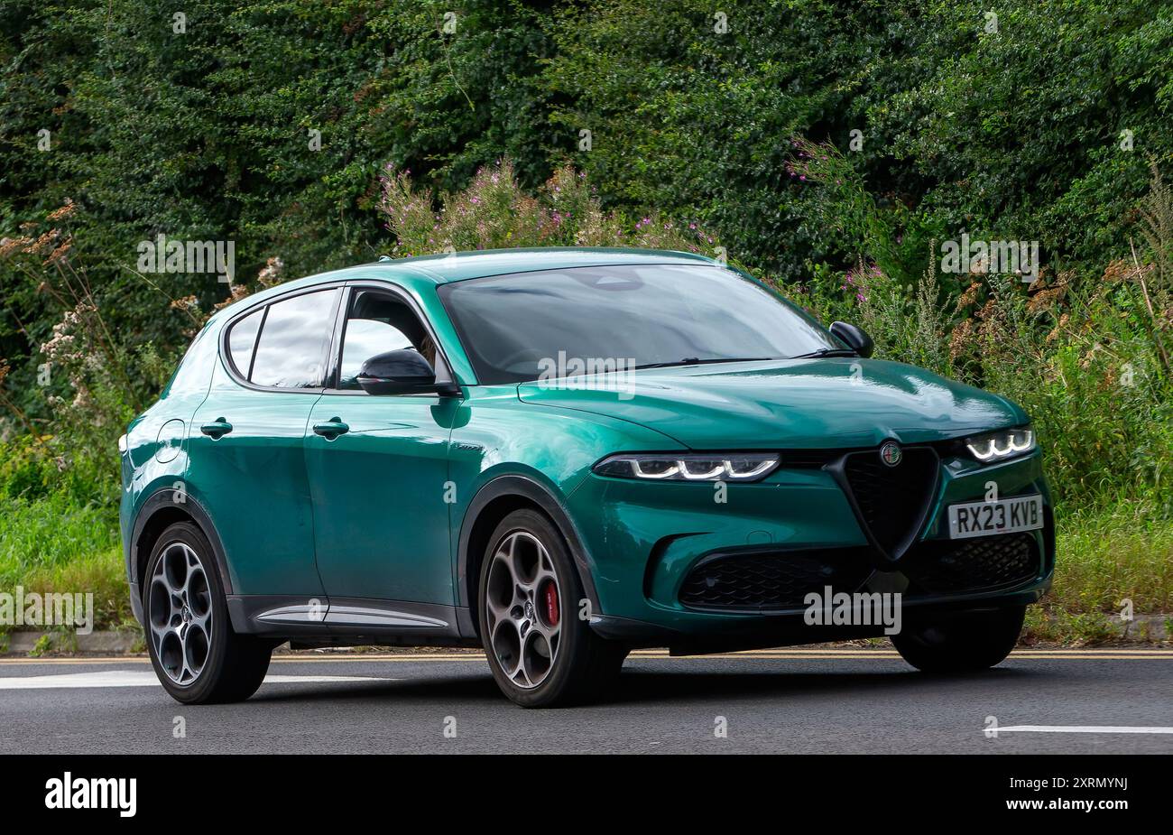 Potterspury, Northants, UK - 11. August 2024: 2023 grün Alfa Romeo Tonale Veloce TB mhev s-ein Hybrid-Elektroauto, das auf einer britischen Straße fährt Stockfoto