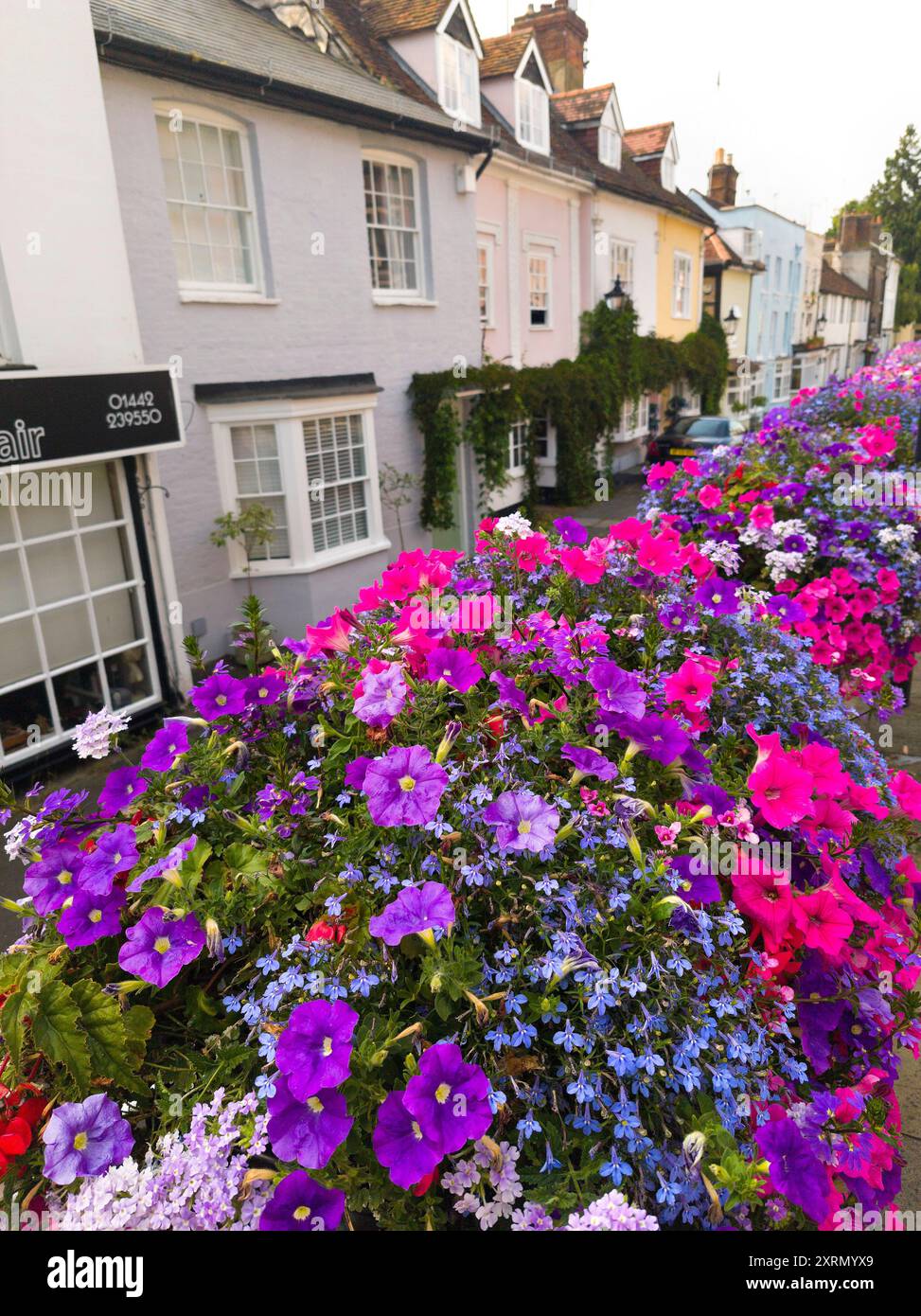 Herrliche Sommerblumenarrangements in Hemel Hempstead, Großbritannien, Sommer 2024 Stockfoto