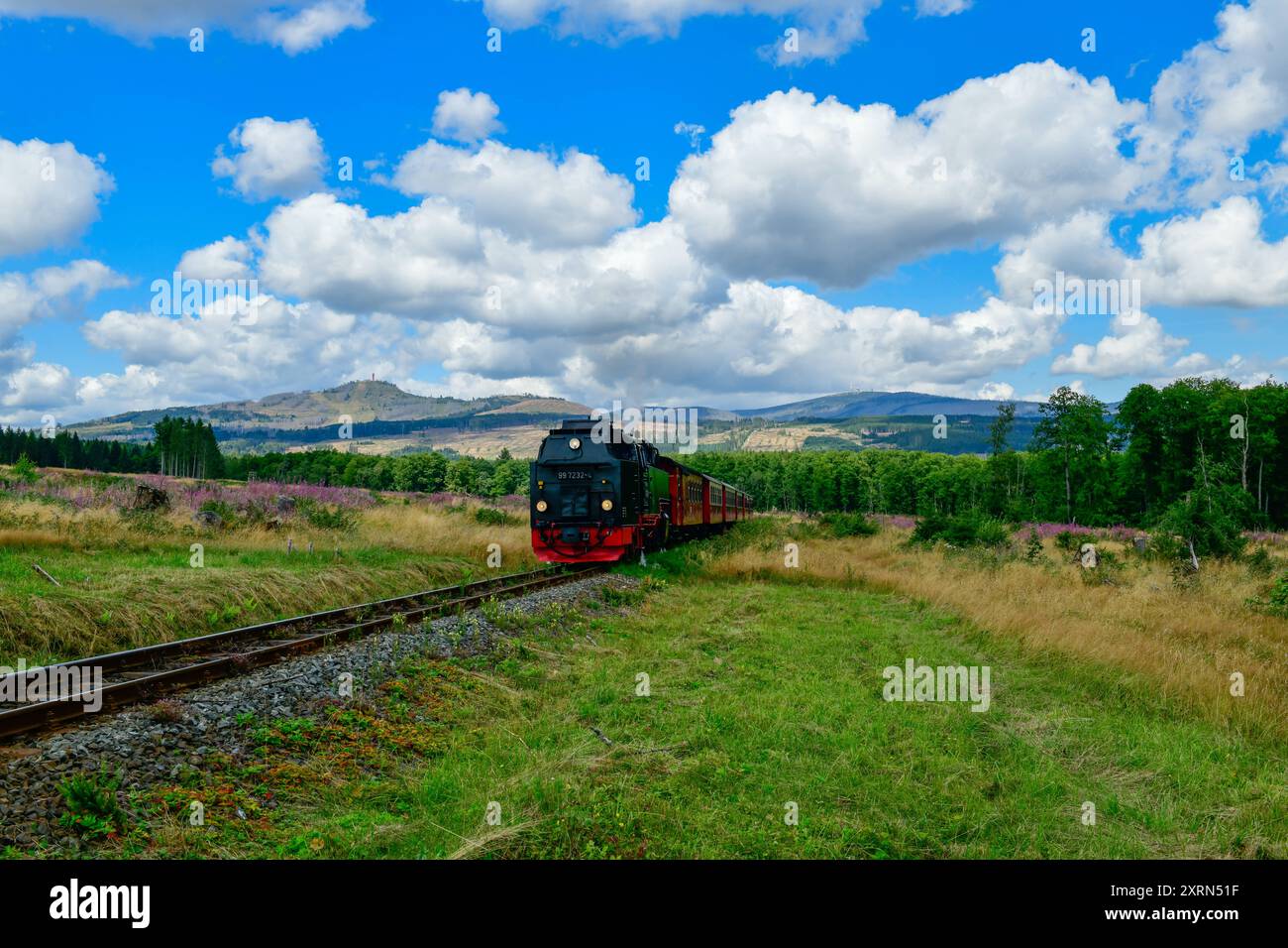 Harz die Dampflok 997232-4 der Harzer Schmalspurbahn zieht am 11. August 2024 einen Personenzug auf der Harzquerbahn in Richtung Eisfelder Talmühle. Im Hintergrund sieht man den Wurmberg links und den Brocken rechts. Harz Sachsen-Anhalt Deutschland  JK10785 *** Harz die Dampflok 997232 4 der Harzer Schmalspurbahn zieht am 11. August einen Personenzug auf der Harzquerbahn in Richtung Eisfelder Talmühle, 2024 im Hintergrund sehen Sie links den Wurmberg und rechts den Brocken Harz Sachsen Anhalt Deutschland JK10785 Stockfoto