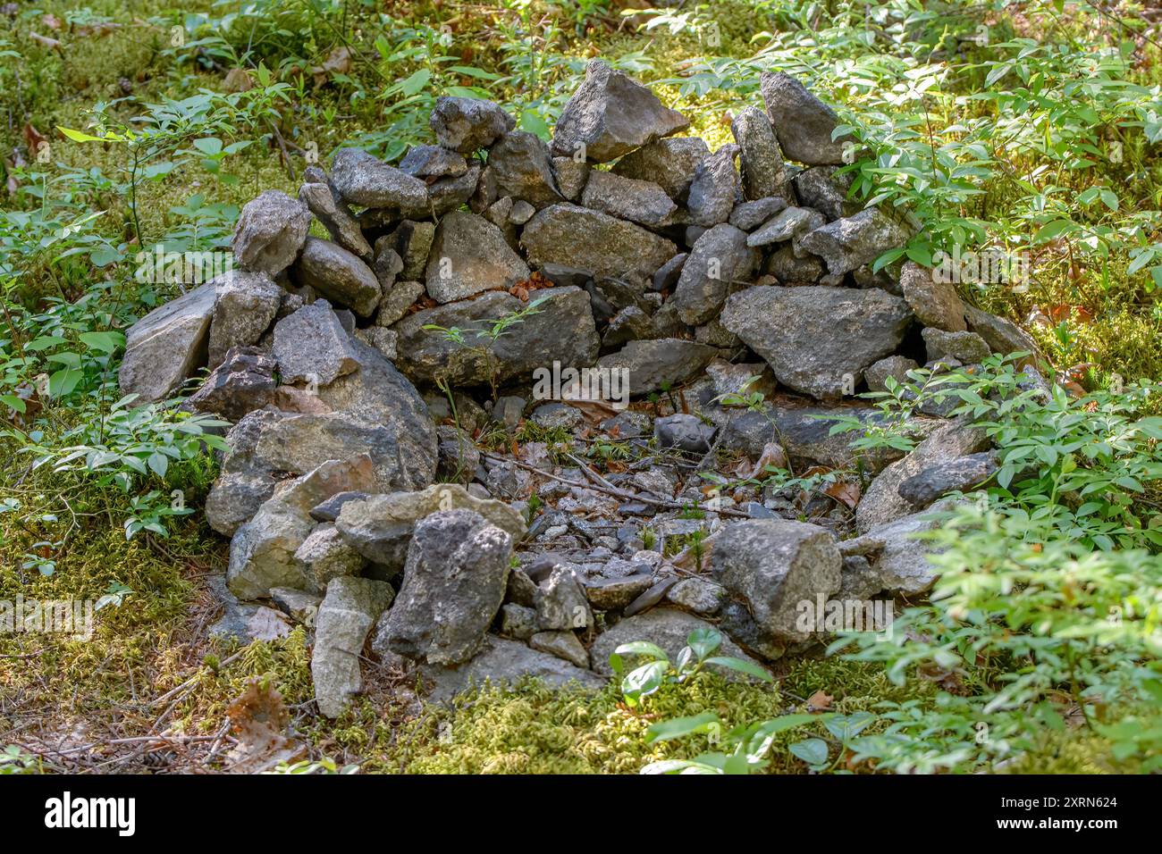 Eine kleine Feuerstelle in einem Wald. Es wurde lange nicht mehr verwendet, da es kein verkohltes Holz enthält, es ist alles verwittert. Stockfoto