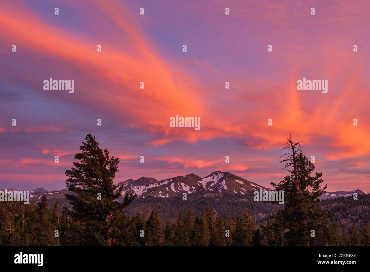 Sonnenuntergang, Folger Peak, Carson-Iceberg Wüste, Stanislaus National Forest, Kalifornien Stockfoto