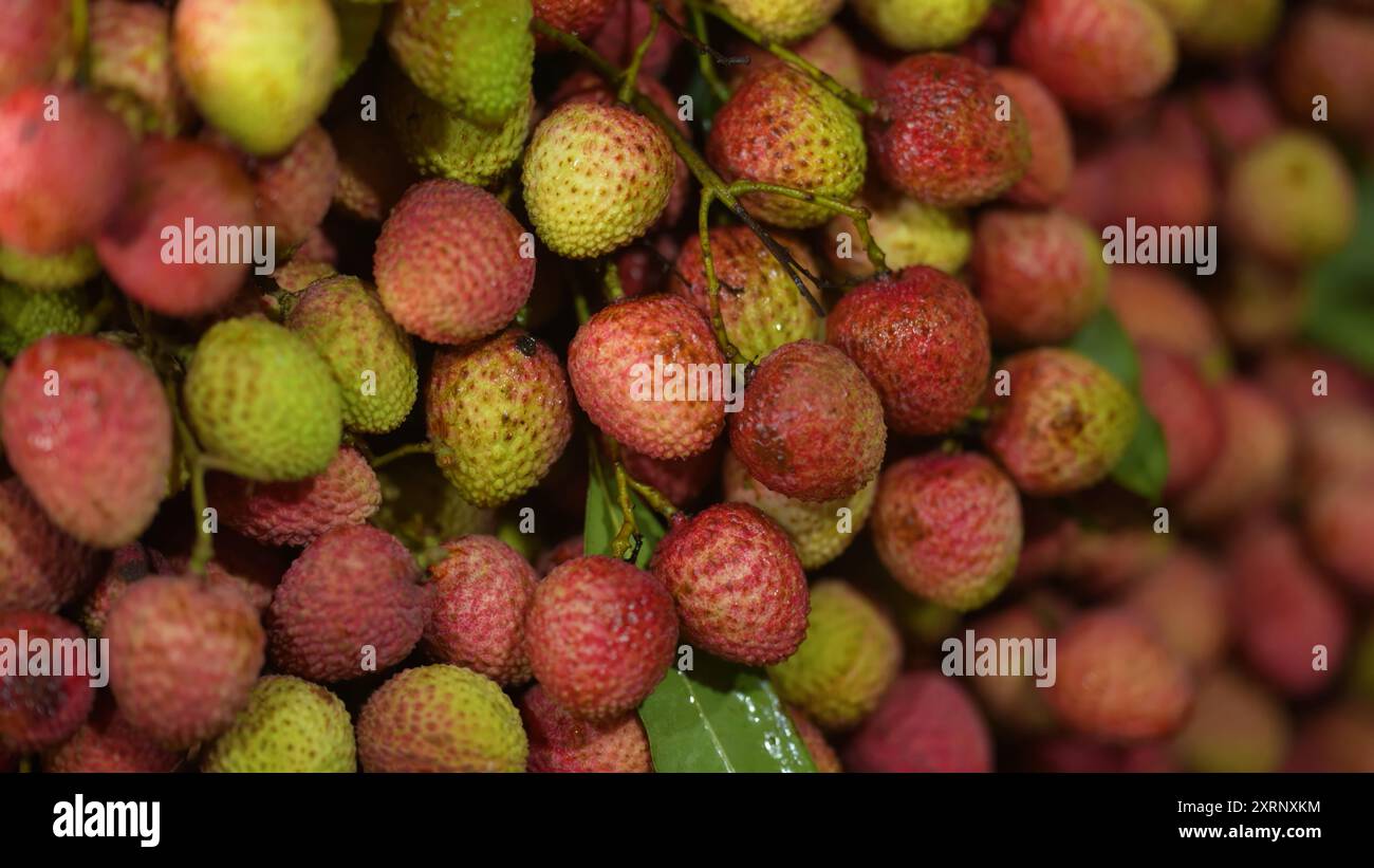 Reife Litschis, bereit zum Verkauf auf dem Markt. Lebhafte Farben und saftige süße Früchte. Litschi, Litchi Stockfoto