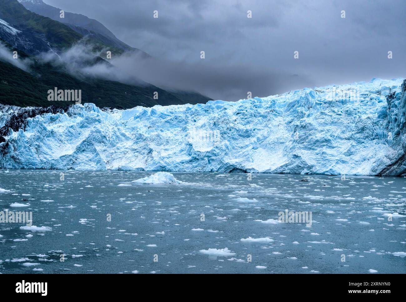 Der Harvard Glacier, ein großer Gezeitenwassergletscher, der in den College Fjord im Prince William Sound, Alaska, einkalbt Stockfoto