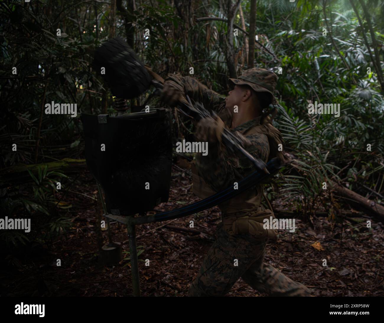 Ian Cruzbanda, ein Schützling mit Golf Company, 2. Bataillon, 5. Marine-Regiment (verstärkt), Marine Rotational Force – Darwin 24.3, simuliert den Angriff auf einen Feind während eines Bajonettangriffs-Kurses im Cowley Beach Training Area, QLD, Australien, 6. August 2024. Die Marines of Golf Co. Nehmen an der Regional Warfighter Übung des Tully Combat Training Centre Teil, um die Letalität in einer Dschungelumgebung zu erhöhen, die Interoperabilität mit der Australian Defence Force weiter zu entwickeln und die Bereitschaft für verschiedene Operationen in der indopazifischen Region zu erhöhen. Cruzbanda ist ein gebürtiger von Stockfoto
