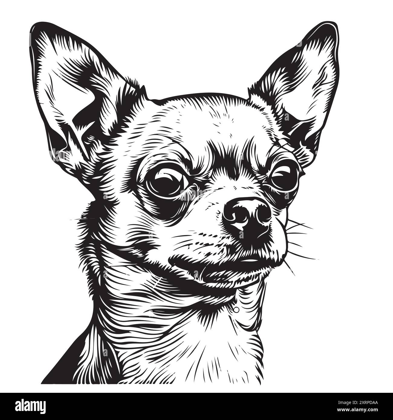 Chihuahua Portrait Hund Hand gezeichnet Skizze Haustiere Vektor Illustration. Stock Vektor