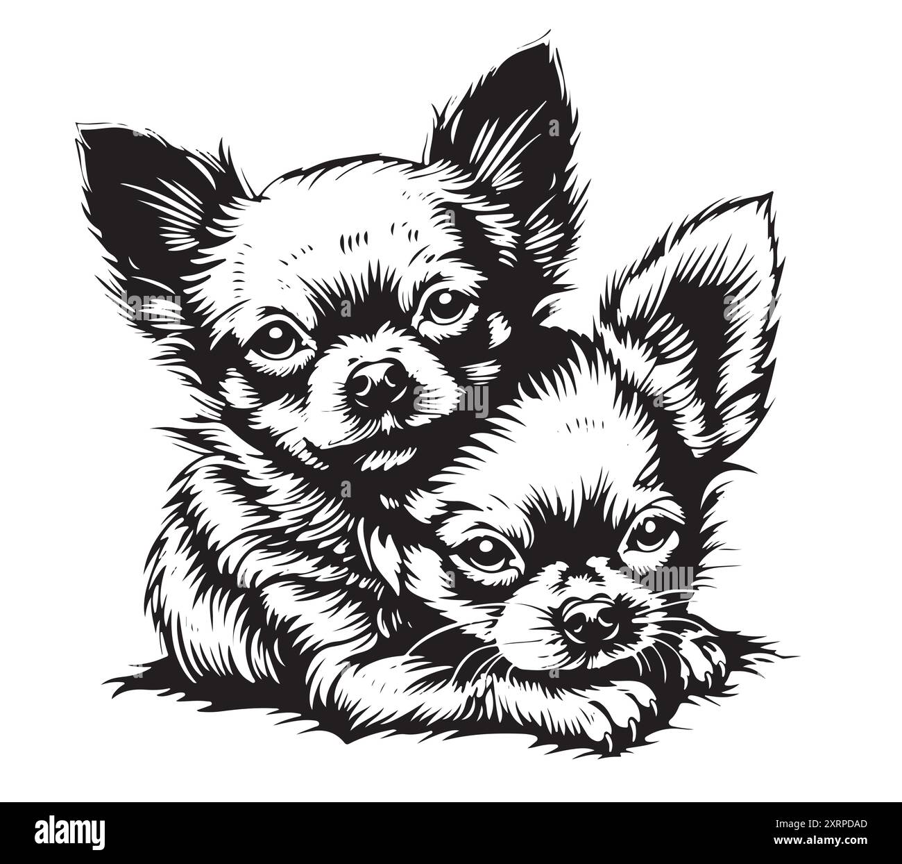 Chihuahua Hunde handgezeichnete Skizze Haustiere Vektor-Illustration. Stock Vektor