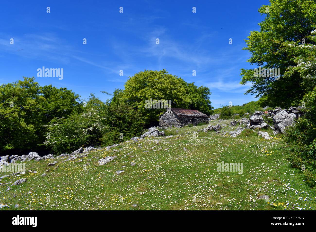 Lexardi-Schäfer-Tierheim in Itxina. Gorbeia (oder Gorbea) Naturpark. Baskenland. Spanien Stockfoto