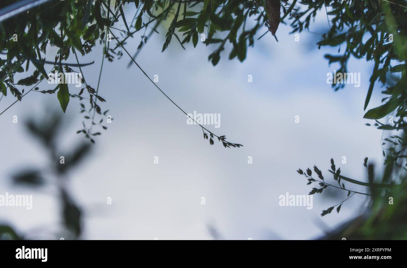 Runder Spiegel im grünen Gras mit Kopierraum. Gras- und Himmelsspiegelung im Spiegel. Ökologisches Konzept. Spiegel auf grünem Rasen. Fragilität der Natur Stockfoto