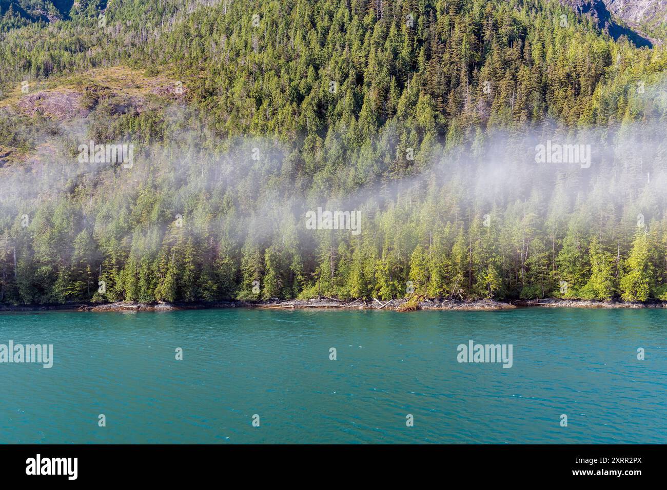 Pinienwald und türkisfarbenes Wasser entlang Inside Passage Cruise, British Columbia, Kanada. Stockfoto