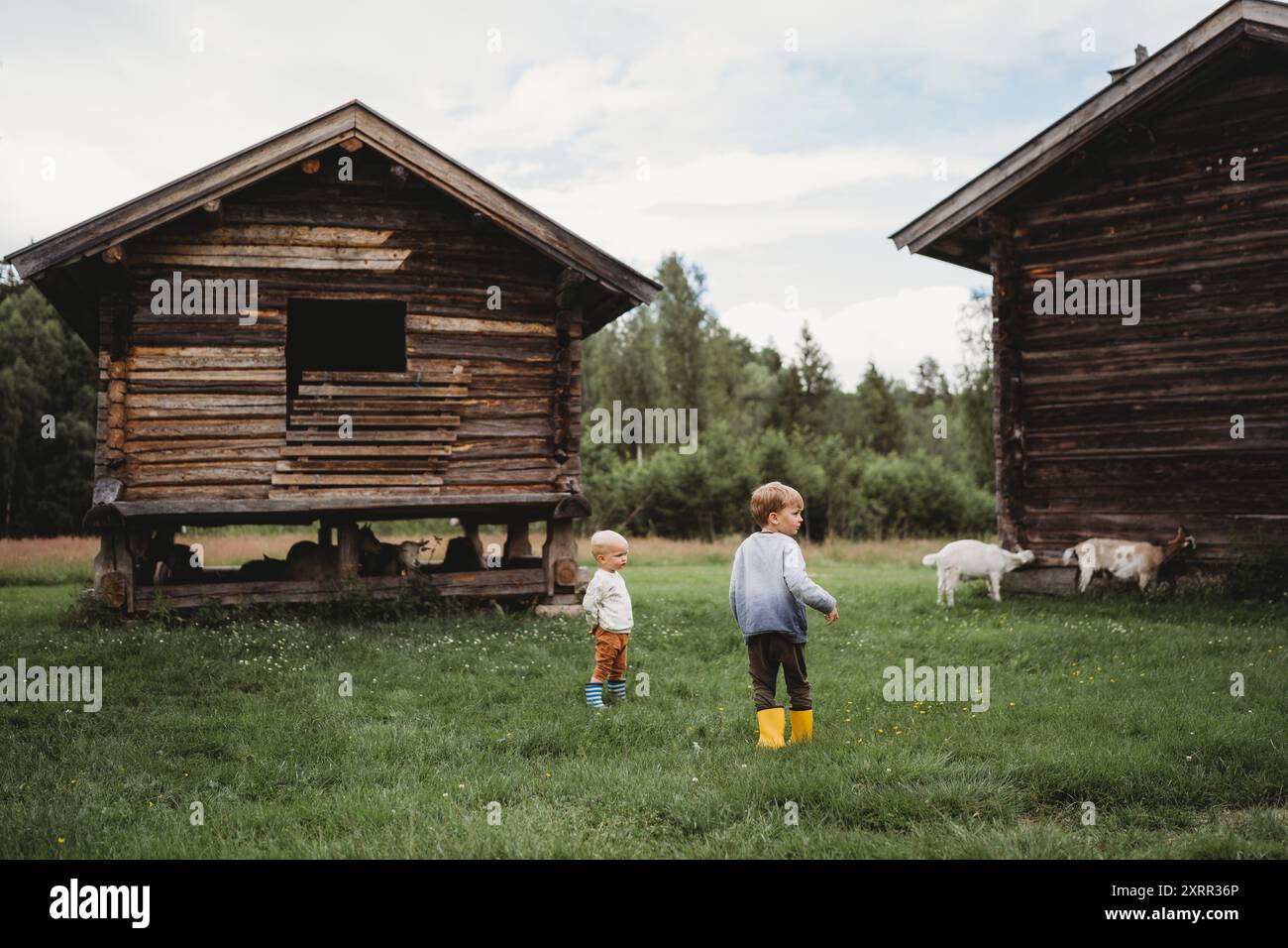 Junge skandinavische Kinder erkunden in der Natur Holzhüttenziegen Stockfoto