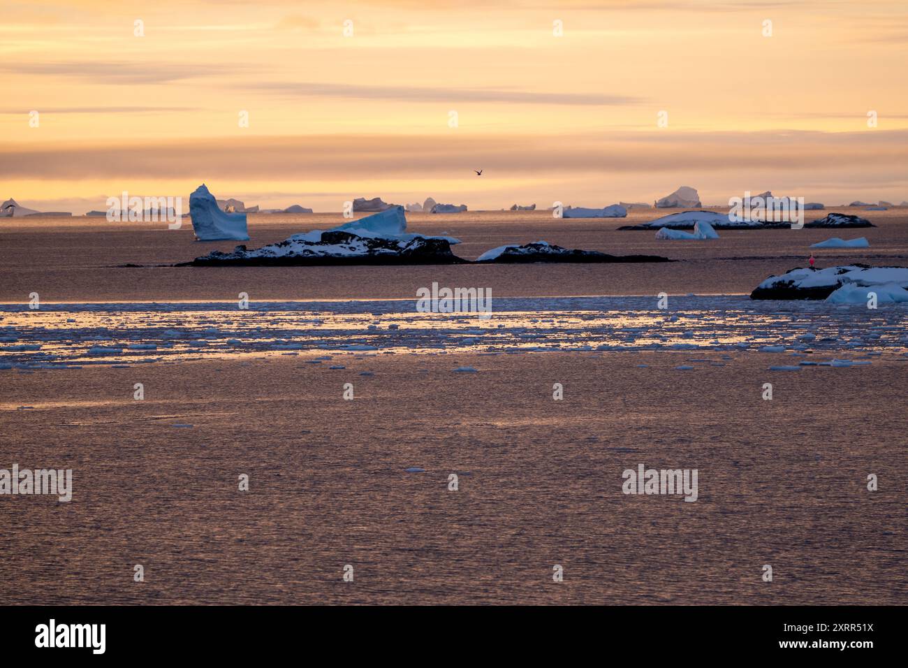 Sonnenuntergang in der Antarktis. Goldene Stunden Stockfoto