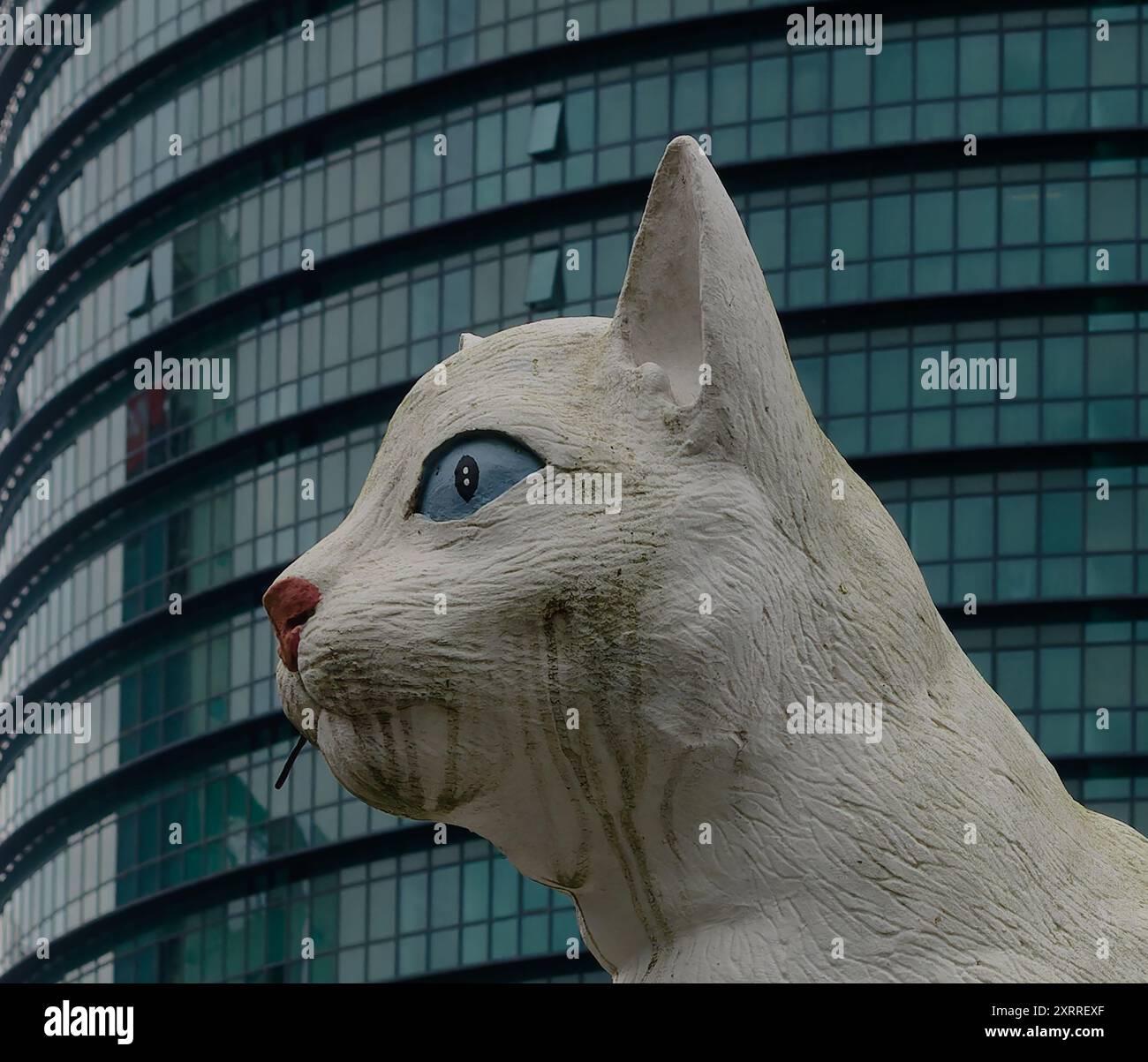 Blaues Auge einer weißen Katzenstatue mit den blauen Fenstern des Sheraton Hotels dahinter, Kuching, Sarawak, Malaysia Stockfoto