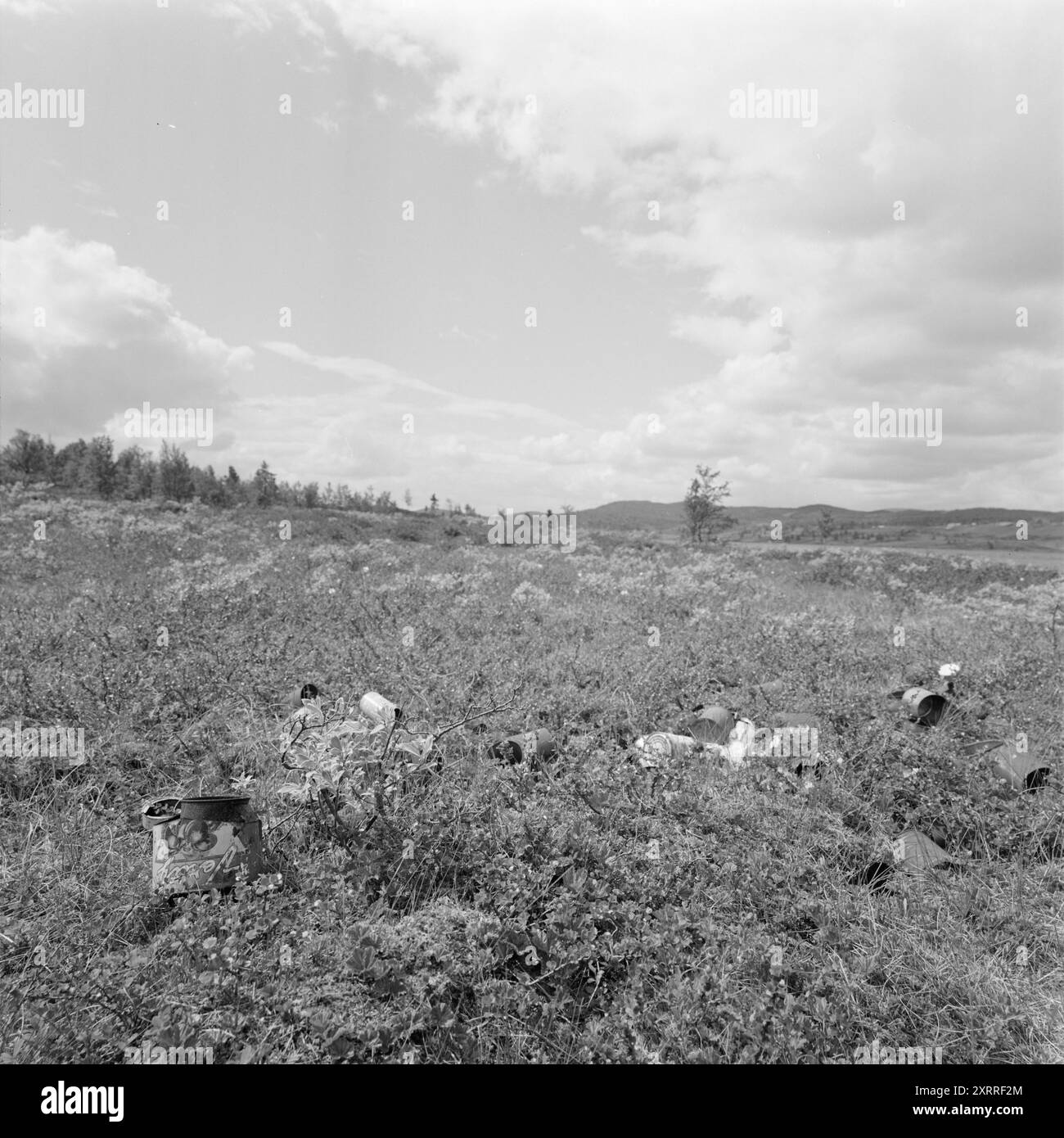 Aktuell 33-4-1967: Natur als Katzenklo. Wanderer sind nicht gut darin, ihren Müll mitzunehmen, wenn sie spazieren gehen. Die Natur wird immer mehr von Menschen verstreut, und sie wird immer sichtbarer. Foto: Sverre A. Børretzen / aktuell / NTB ***FOTO NICHT VERARBEITET*** dieser Bildtext wird automatisch übersetzt dieser Bildtext wird automatisch übersetzt Stockfoto