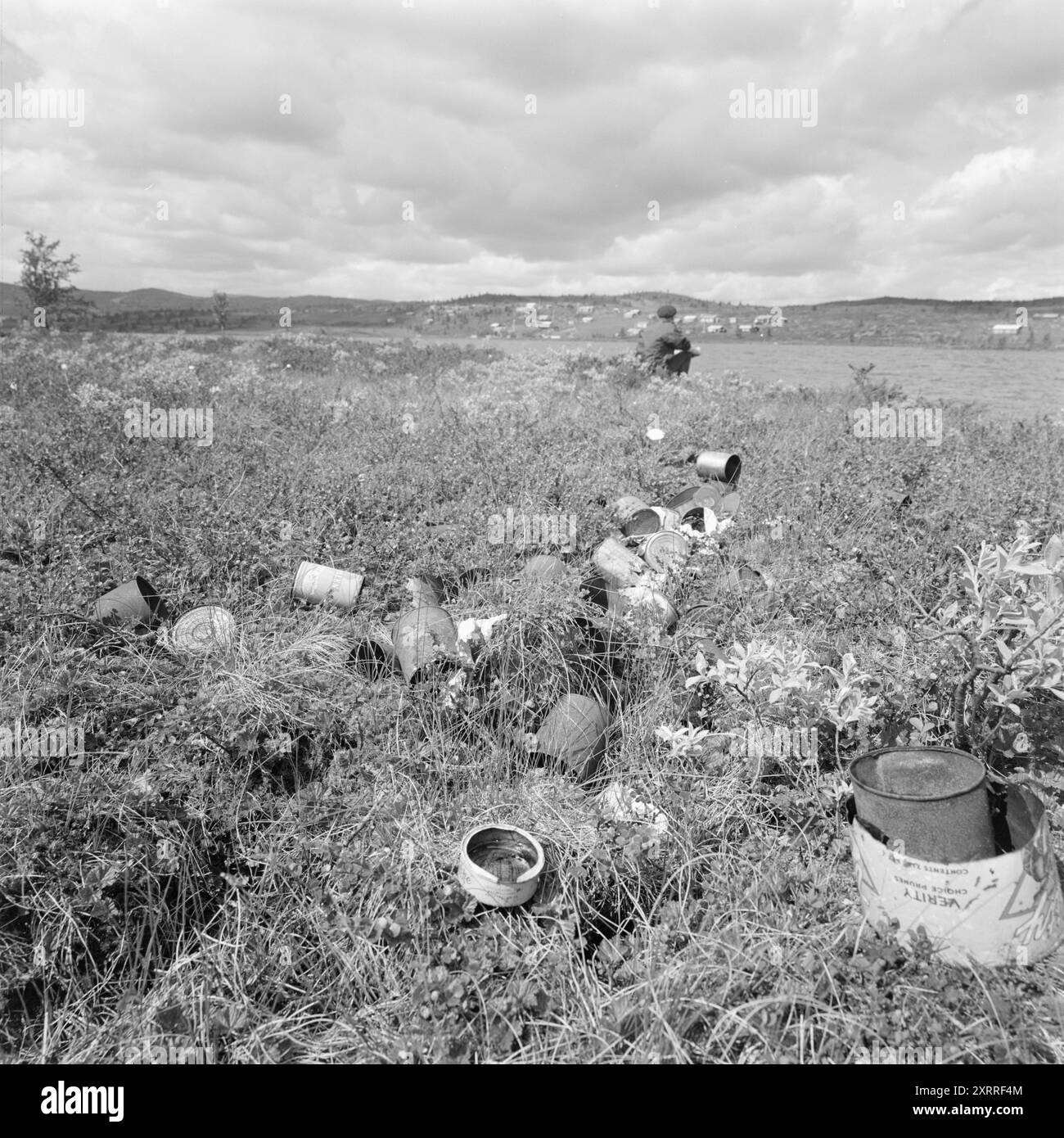 Aktuell 33-4-1967: Natur als Katzenklo. Wanderer sind nicht gut darin, ihren Müll mitzunehmen, wenn sie spazieren gehen. Die Natur wird immer mehr von Menschen verstreut, und sie wird immer sichtbarer. Die Hütten im Hintergrund, der Müll im Vordergrund. In diesem unwegsamen Moor liegen die Dosen wie die Spuren der Zivilisation. Foto: Sverre A. Børretzen / aktuell / NTB ***FOTO NICHT VERARBEITET*** dieser Bildtext wird automatisch übersetzt dieser Bildtext wird automatisch übersetzt Stockfoto