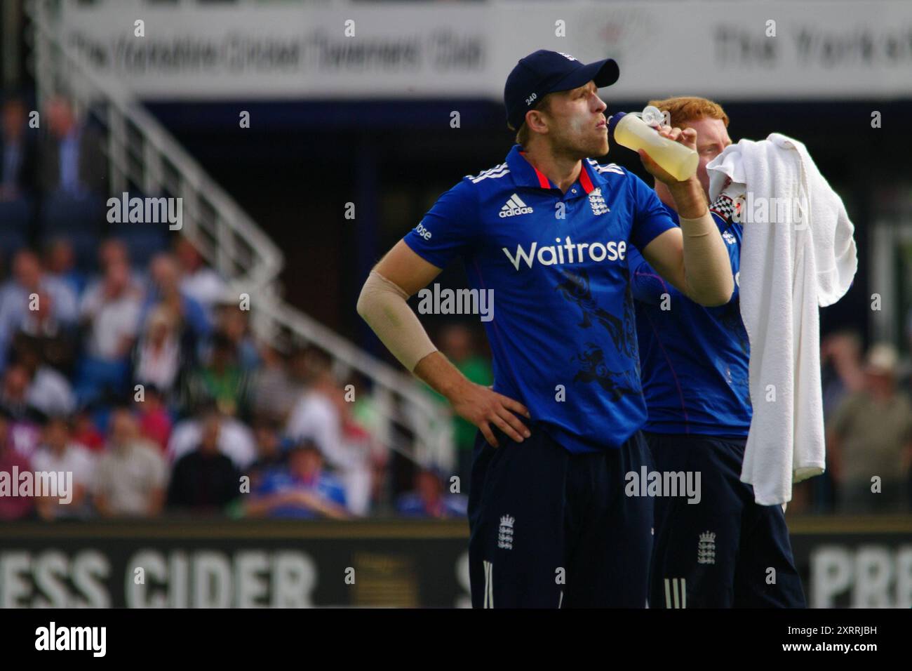 Leeds, Großbritannien, 1. September 2016. David Willey spielt für England gegen Pakistan und nimmt einen Drink bei The Fall of a Wicket im 4. Royal London One Day International in Headingley. Quelle: Colin Edwards Stockfoto