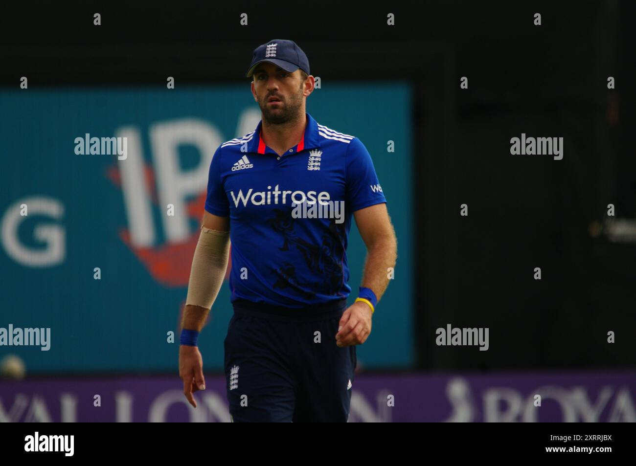 Leeds, Großbritannien, 1. September 2016. Liam Plunkett spielte für England gegen Pakistan im 4. Royal London One Day International in Headingley. Quelle: Colin Edwards Stockfoto