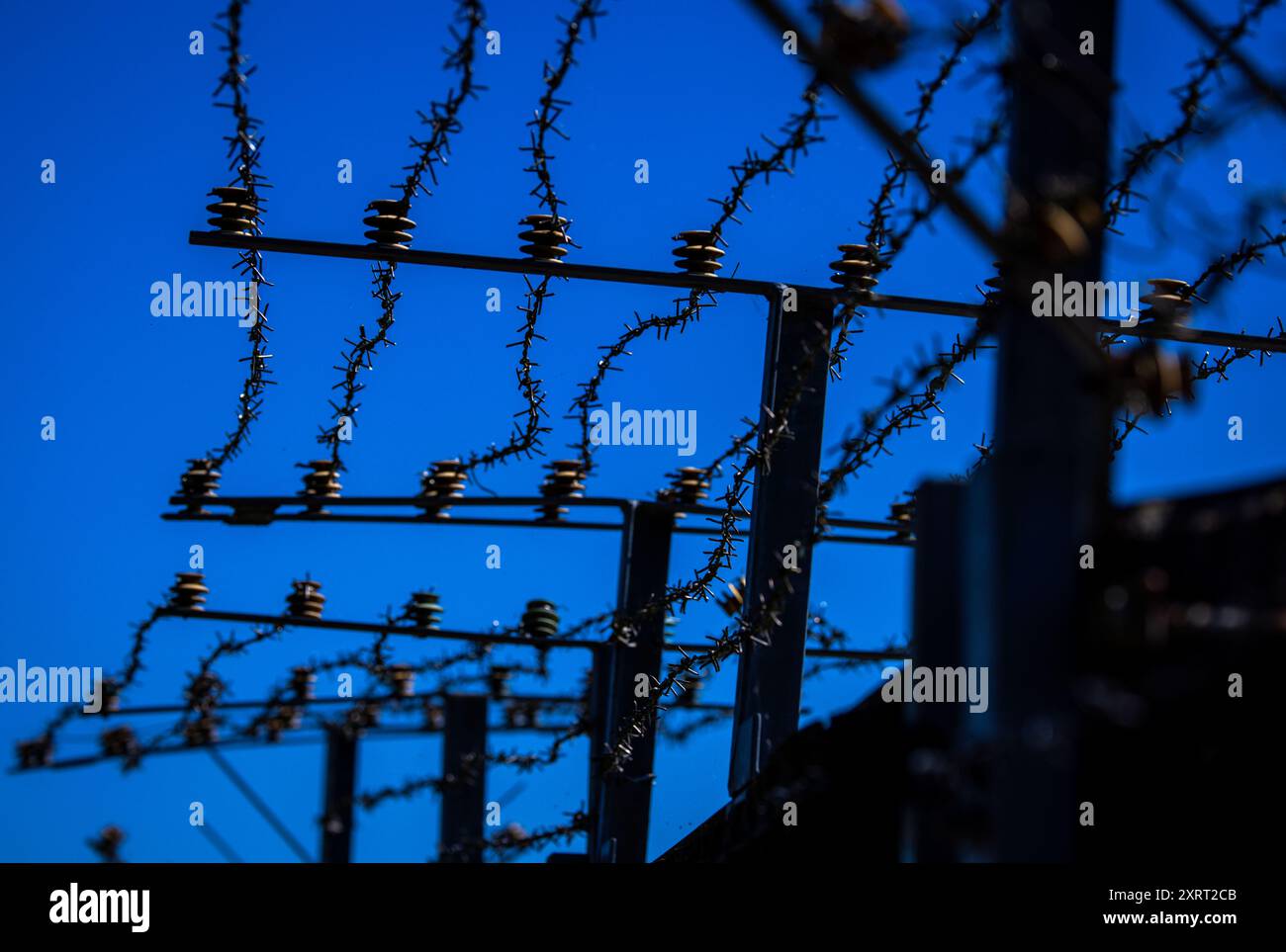 Schlagsdorf, Deutschland. August 2024. Stacheldraht hängt an einem Metallzaun der DDR-Grenztruppen auf dem Gelände des Grenzhus Schlagsdorf. Zahlreiche Veranstaltungen erinnern an den Tag des Mauerbaus und der Schließung der innerdeutschen Grenze am 13. August 1961. Historiker schätzen, dass an der innerdeutschen Grenze rund 650 Menschen ums Leben kamen. Quelle: Jens Büttner/dpa/Alamy Live News Stockfoto