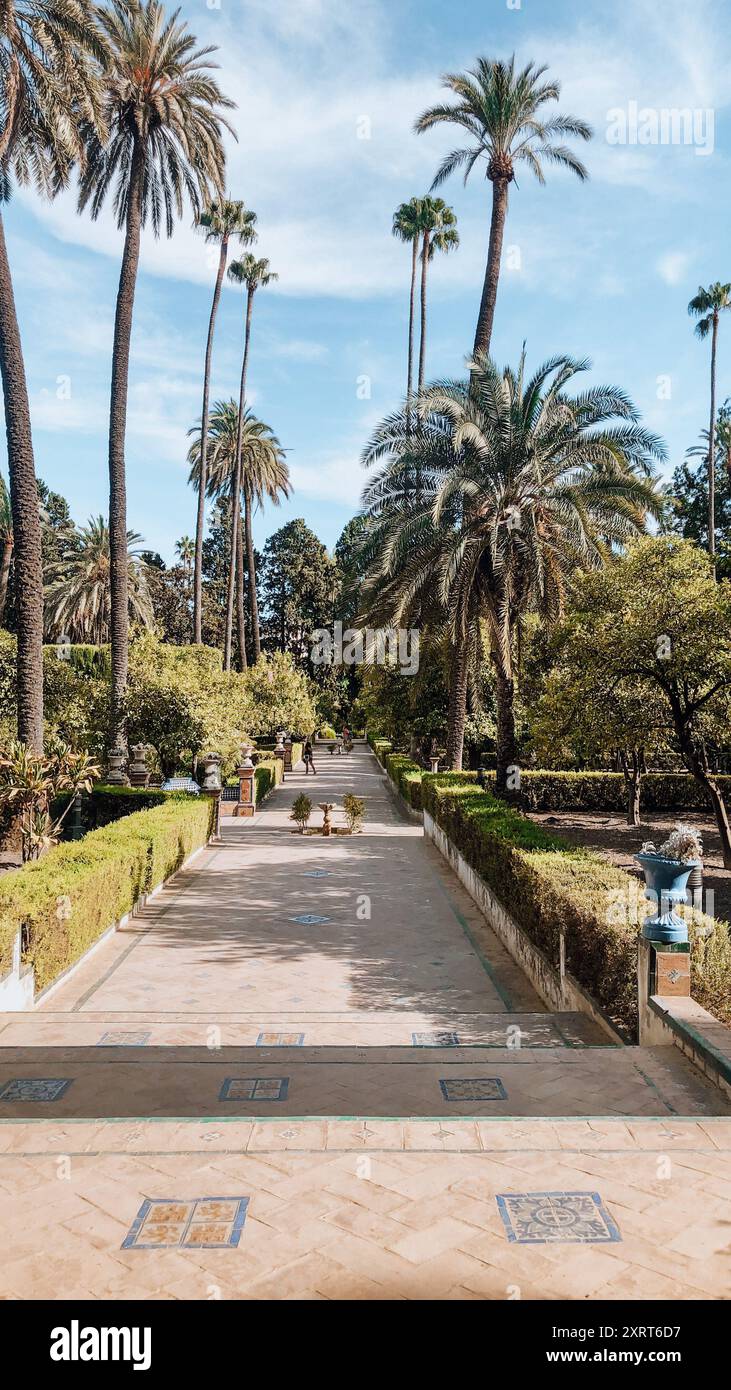 Ein friedlicher Spaziergang durch die wunderschönen Gärten der Gran Alcázar in Sevilla, eine Mischung aus Natur und Geschichte Stockfoto