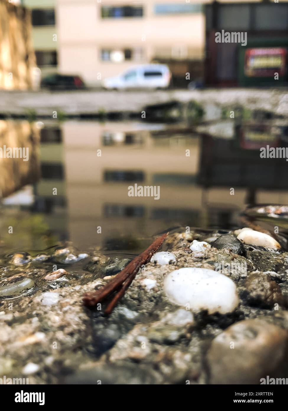 Ein Stock schwimmt in einer Pfütze aus Wasser. Der Stock ist braun und er ist nass. Die Pfütze ist von Felsen umgeben und die Gegend sieht etwas schmutzig aus Stockfoto