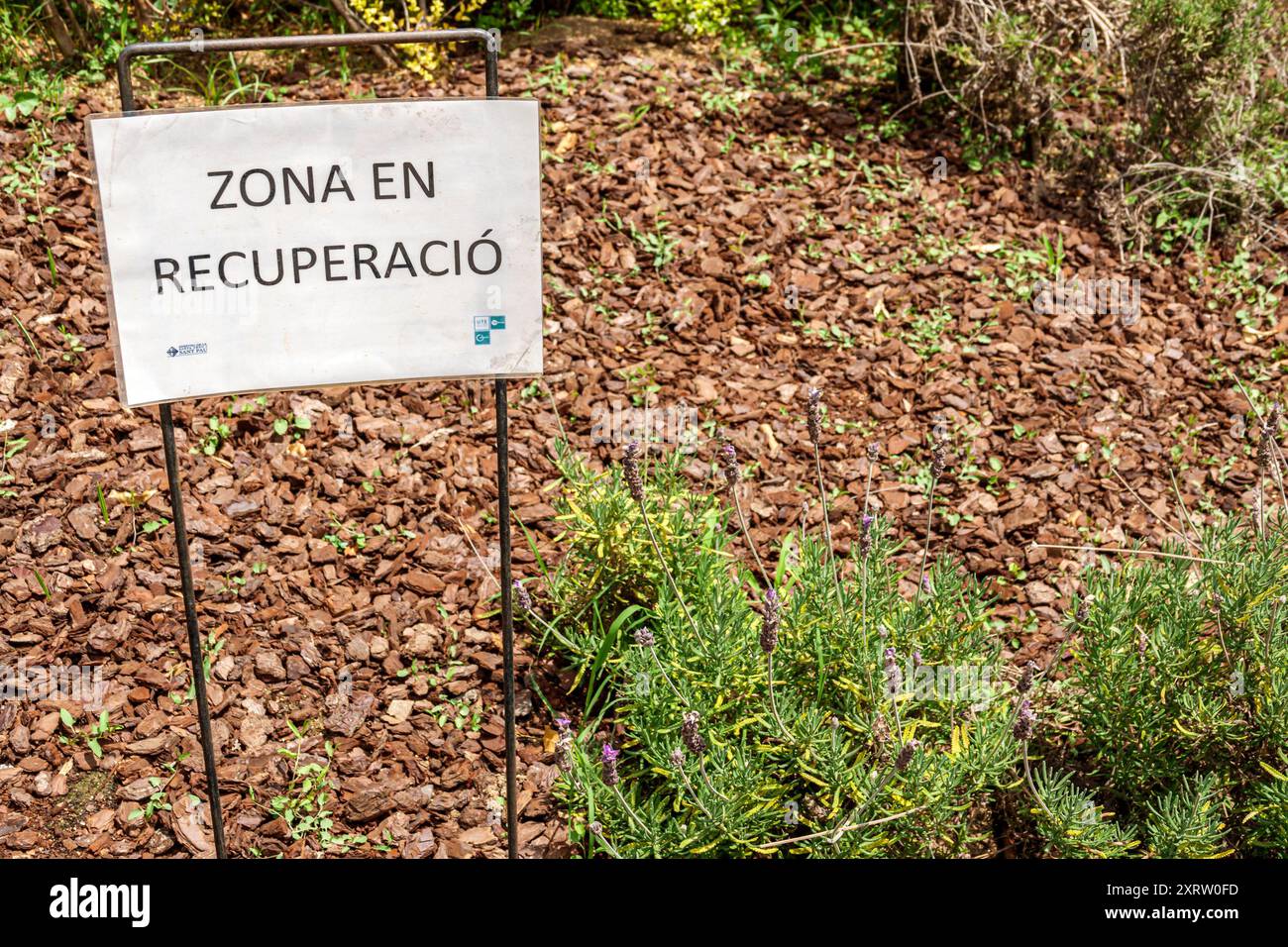 Barcelona Spanien,Katalonien Catalunya,El Guinardo,Recinte Modernista de Sant Pau,historisches ehemaliges Hospital de la Santa Creu Pavillon Komplex,Katalanischer Modus Stockfoto