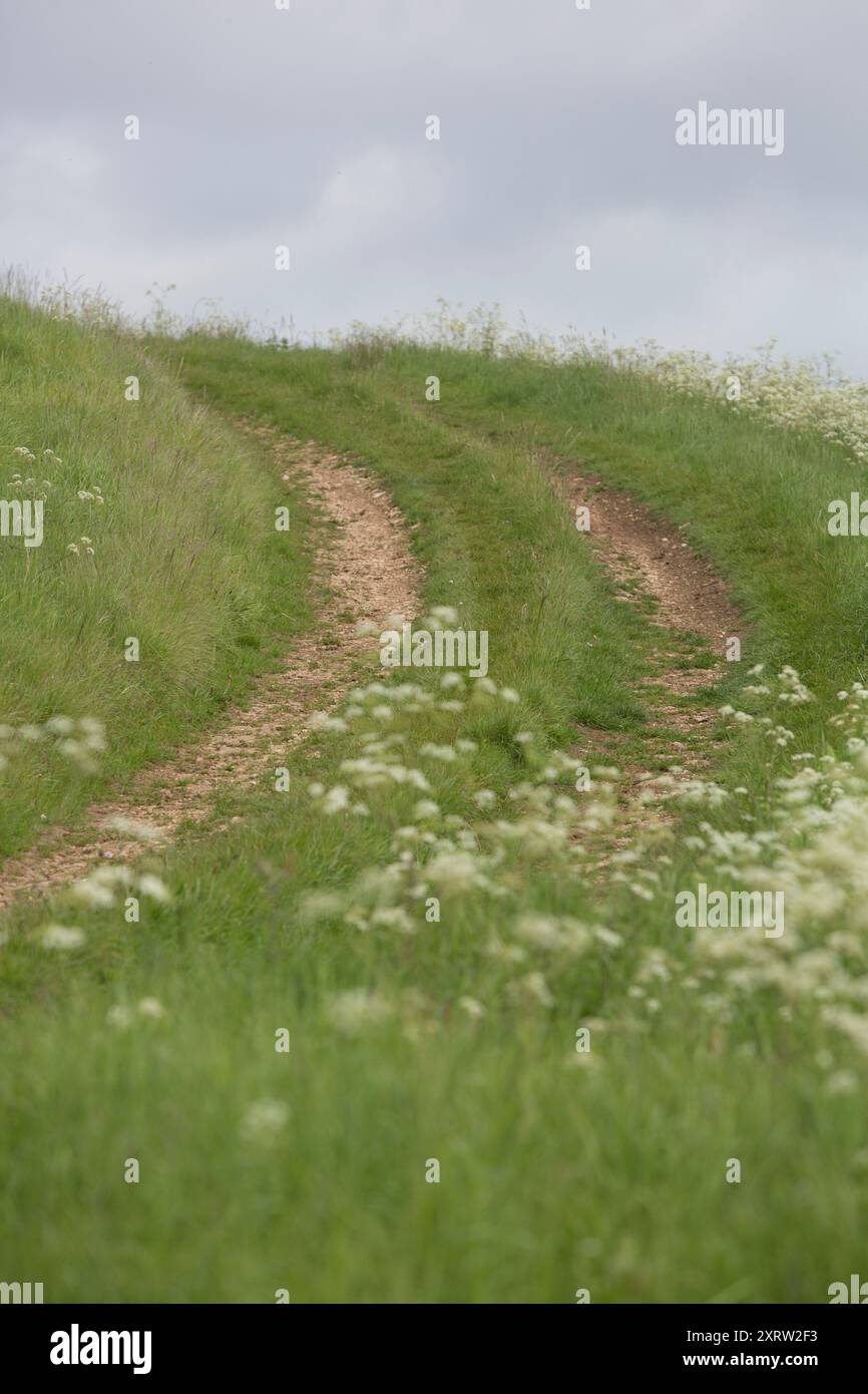 Spuren auf einer Bergseite, die von landwirtschaftlichen Fahrzeugen auf dem Feld des Bauern gemacht werden. Stockfoto