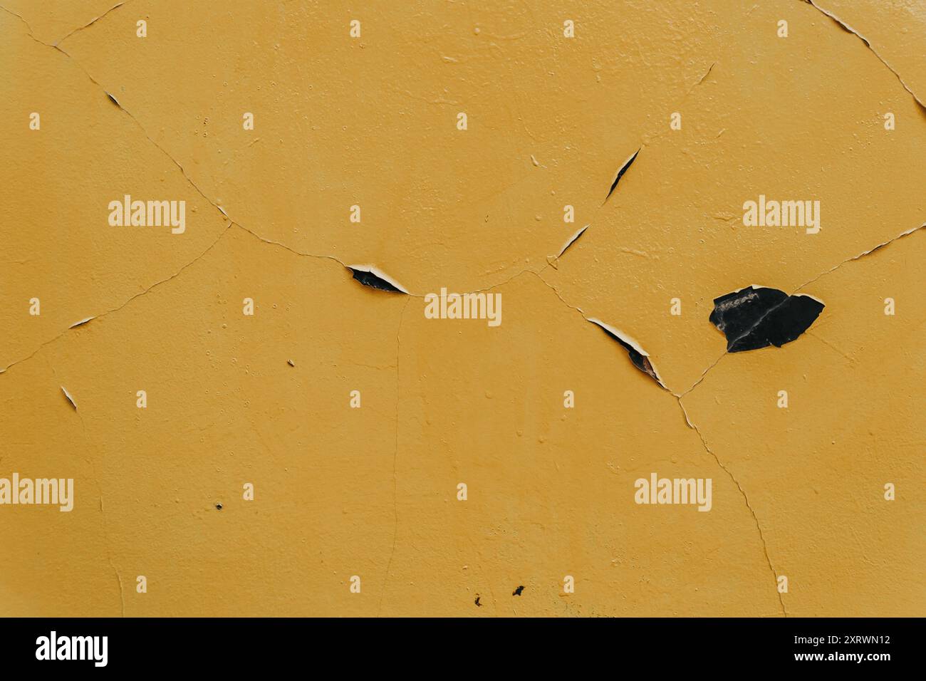 Eine gelbe Wand weist einen markanten Riss auf, wobei ein einzelnes Blatt sanft auf der Oberfläche aufliegt und der städtischen Szene einen Hauch von Natur verleiht. Stockfoto