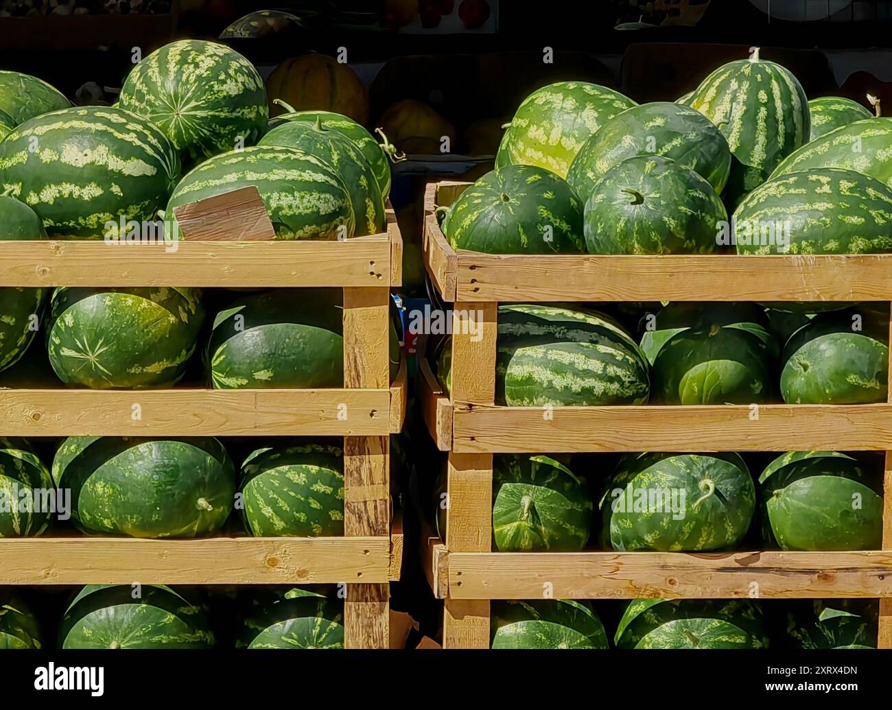 Wassermelonen beim lokalen Anbieter: Erfrischendes Sommerangebot auf braunen Holzdielen. Stockfoto