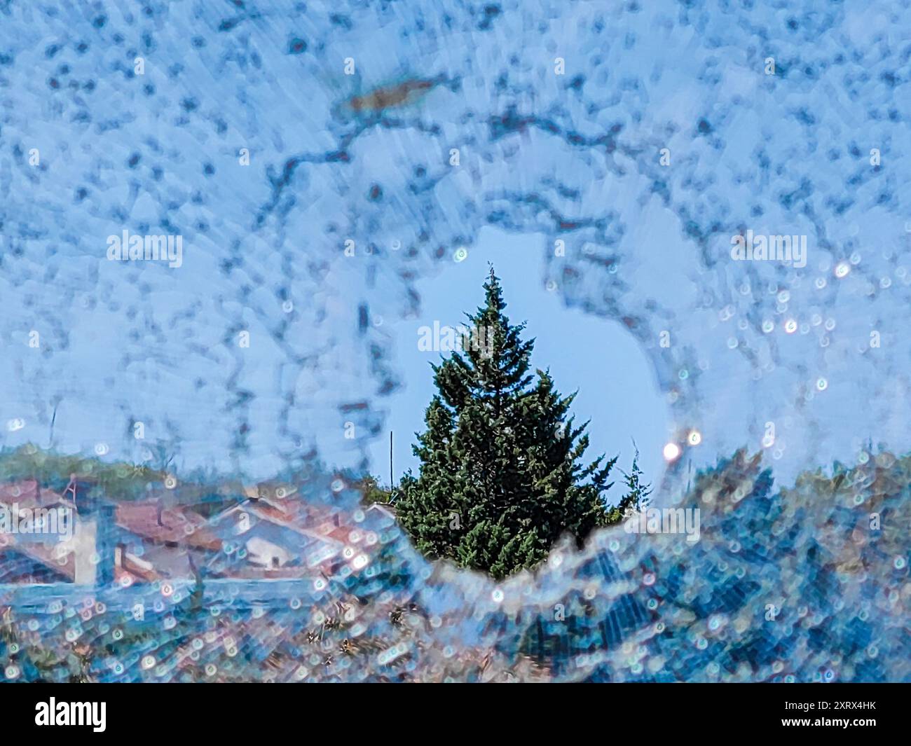 Gerahmter Immergrüner Baum Durch Gebrochenes Glas. Schwerpunkt : Natur. Stockfoto