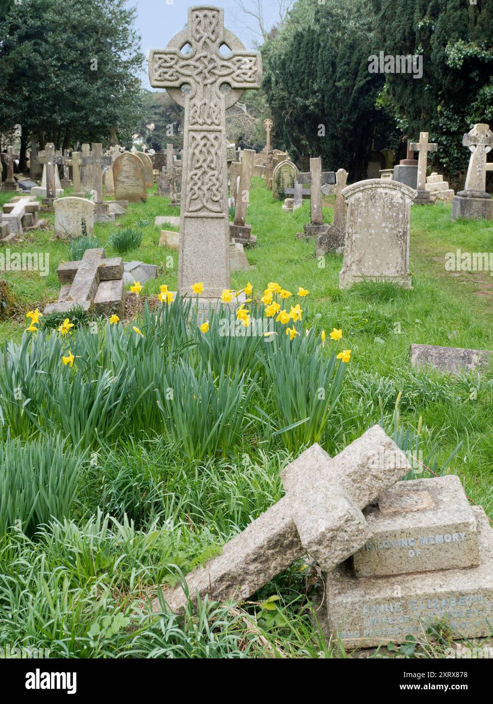 Der Holywell Cemetery befindet sich neben der St. Cross Church im Zentrum von Oxford. Es ist ziemlich gut versteckt; man konnte hunderte Male daran vorbeilaufen und nie den diskreten Eingang in der Long Wall Street sehen. Ich sollte wissen, genau das habe ich getan! Aber als ich es entdeckte und reinging, fand ich einen Ort der Schönheit und Ruhe im Herzen des geschäftigen Oxford. Stockfoto